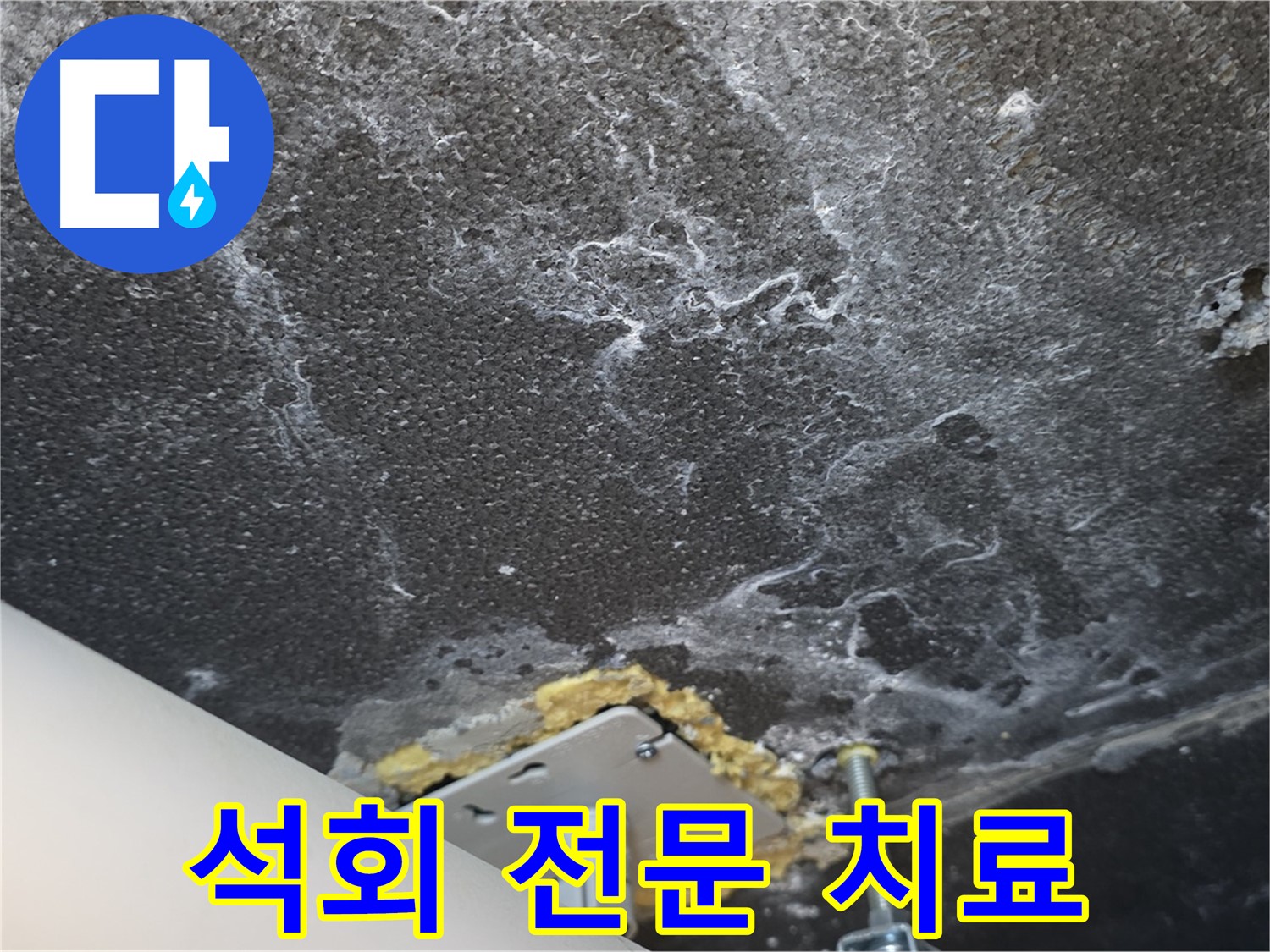 파주시 동패동 천장 누수 석회 - 누수 클리닉 전문 치료