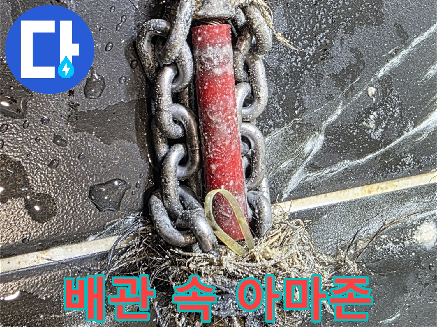 노원구 중계동 현대5차 아파트 누수 - 배관 속 '아마존'처럼 엉켜있는 이물질 덩어리