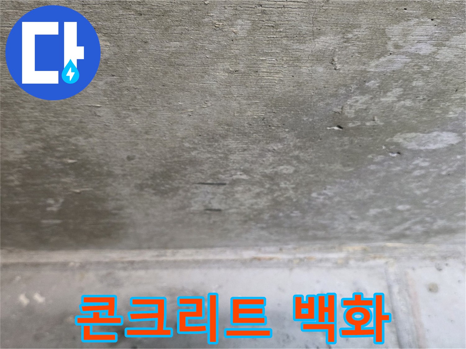 노원구 중계동 현대5차 아파트 누수 - 콘크리트 백화 현상이 발생한 모습입니다.