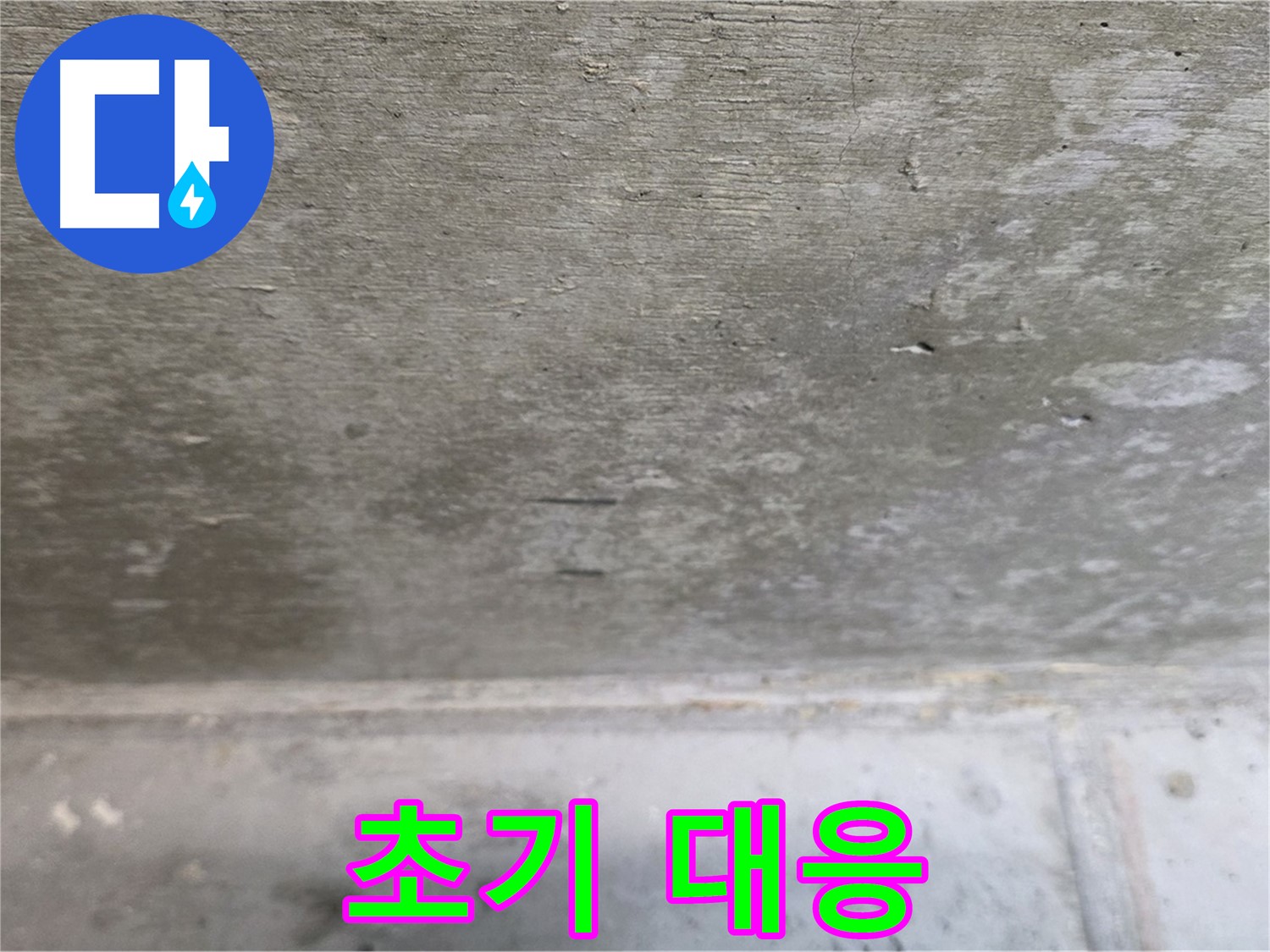 노원구 중계동 현대5차 아파트 콘크리트 천장 누수 - 초기 대응 중요 - 골든 타임을 놓치지 마세요.