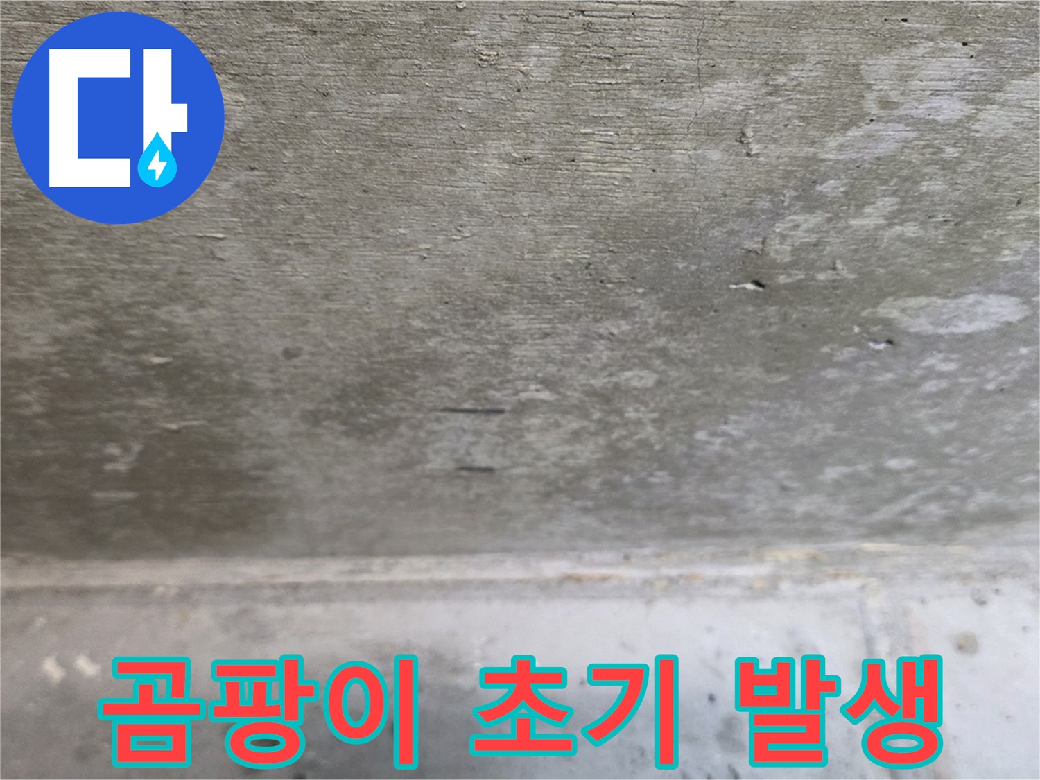 중계동 현대5차 211동 콘크리트 천장 누수 - 곰팡이 발생 초기 단계 - 빠른 조치가 필요합니다.