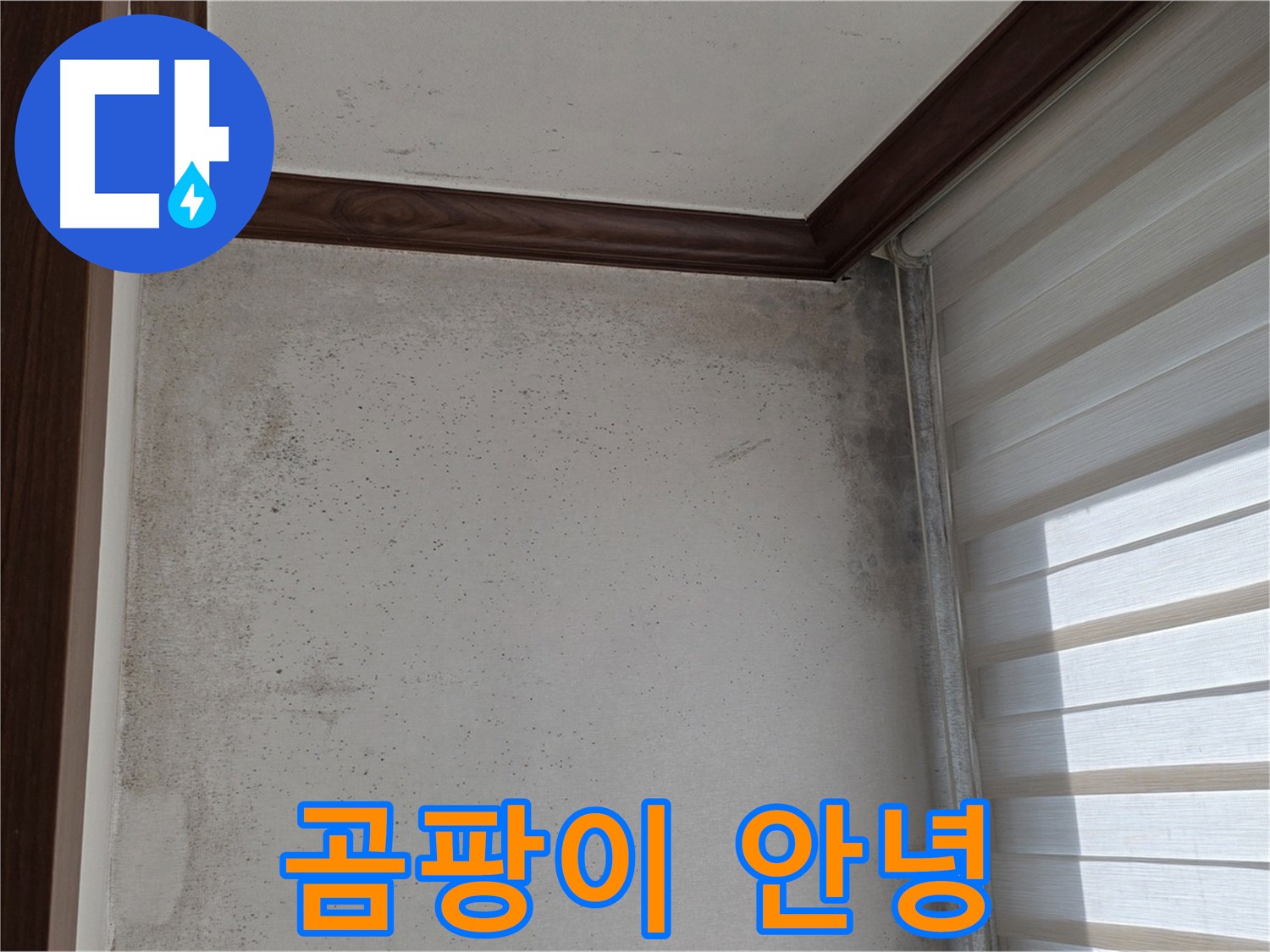 중계동 현대5차 곰팡이 누수 - 곰팡이, 이제 안녕! 쾌적한 공간으로 변신