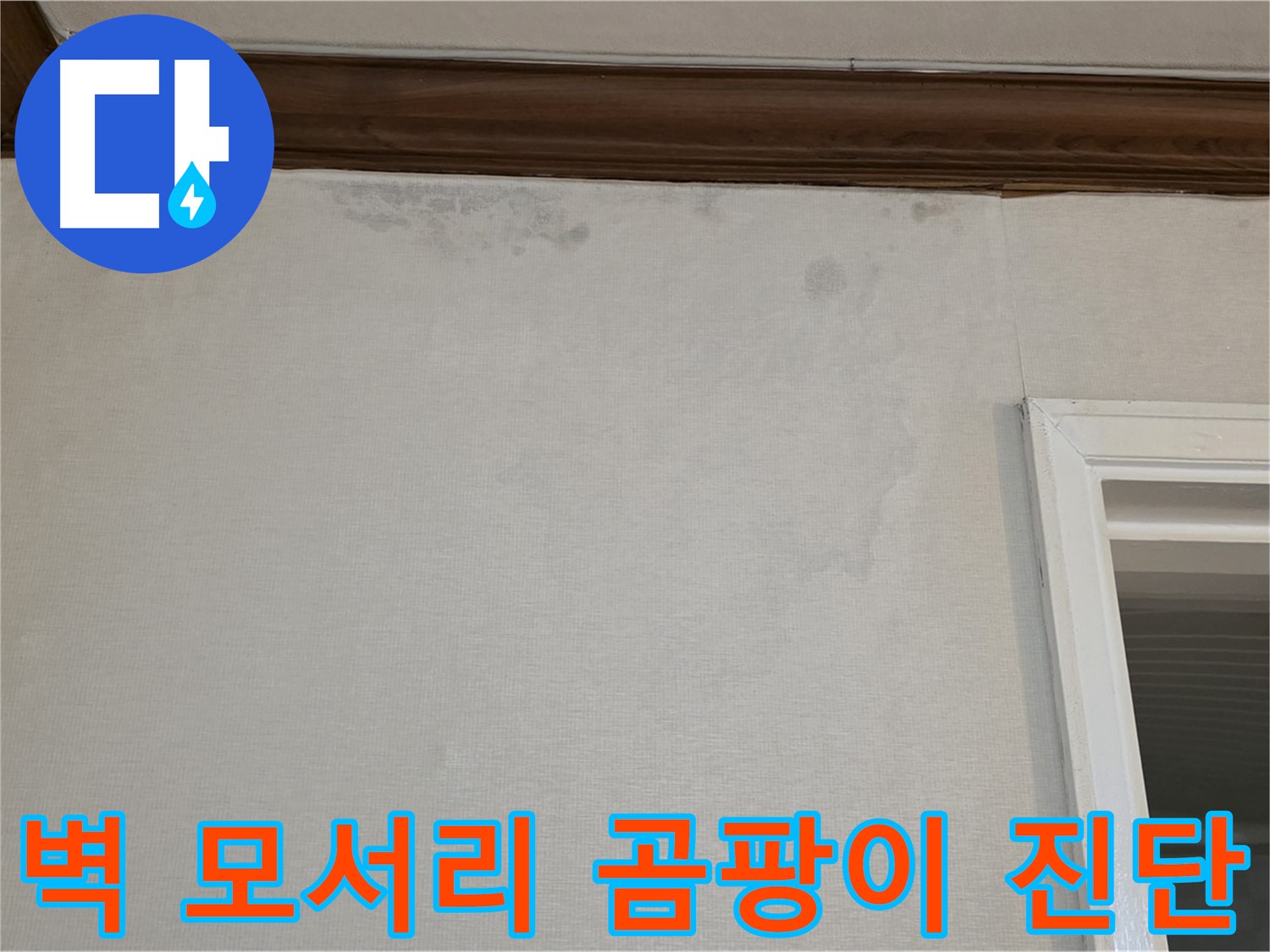 중계동 현대5차 아파트 벽 모서리 곰팡이 - 누수 원인 완벽 진단