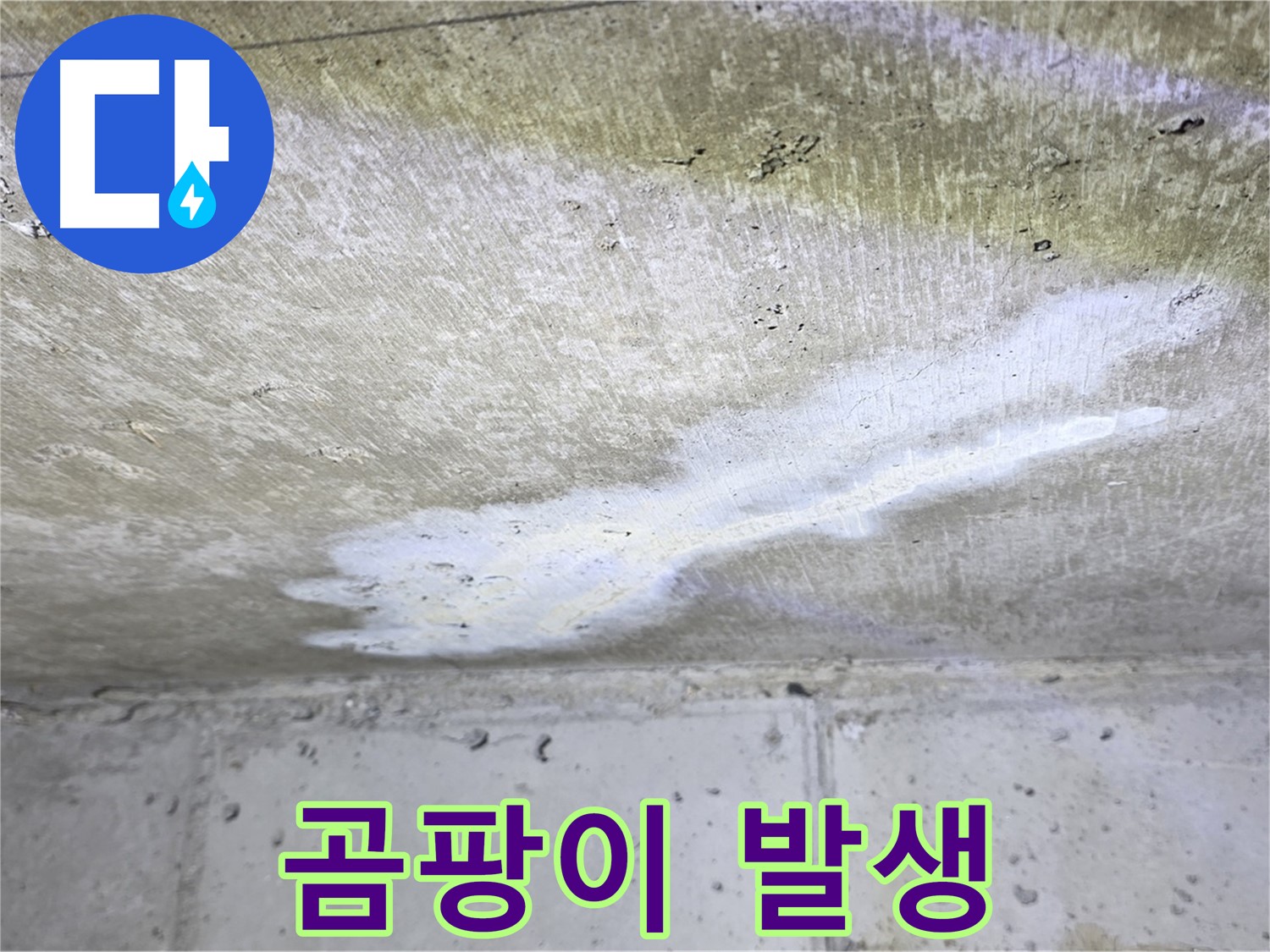 현대5차 211동 - 천장 누수와 벽면 곰팡이 동시 발생 - 건강 위협