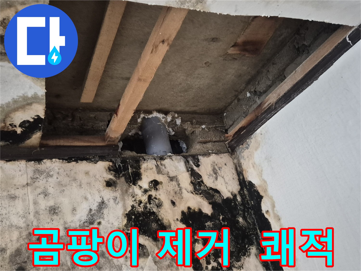 곰팡이 제거 및 쾌적한 공간 조성 - 누수 문제 해결 후 깨끗한 환경
