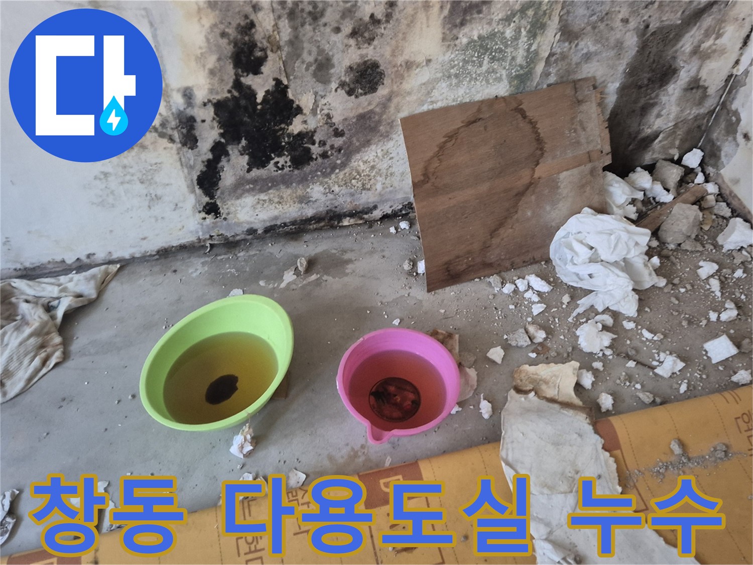 도봉구 창동 덕릉로54가길 누수 현장 - 다용도실 바닥에 물이 고여있고 벽에 곰팡이가 피어있는 모습입니다 - 습한 환경으로 곰팡이가 번식하기 쉽습니다.
