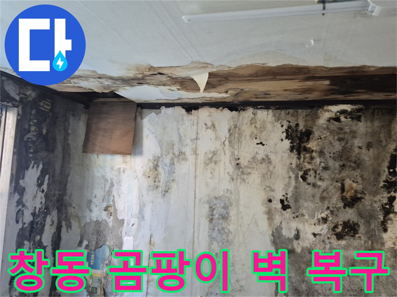도봉구 창동 주택의 곰팡이 벽 복구 비법 - 누수 원인 진단부터 완벽한 시공까지 전문가의 노하우를 담았습니다.