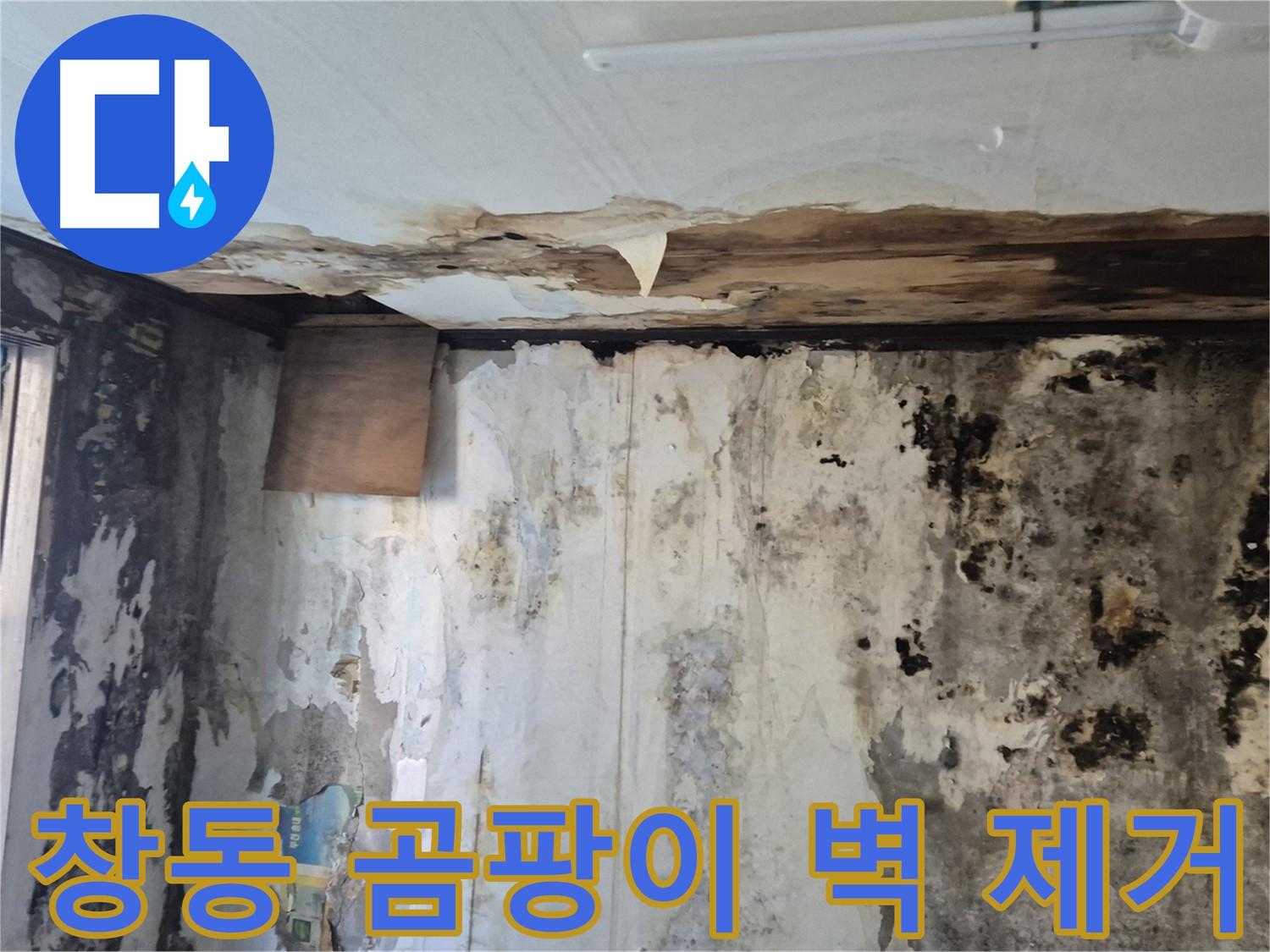 도봉구 창동 주택의 곰팡이 벽 제거 과정 - 누수 원인 진단부터 완벽한 제거 시공까지 꼼꼼한 과정을 담았습니다.