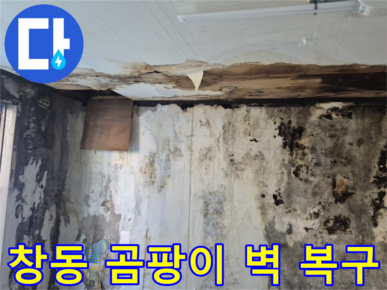 도봉구 창동 주택의 곰팡이 핀 벽 복구 과정 - 누수 원인 진단부터 완벽한 시공까지 꼼꼼하게 담았습니다.