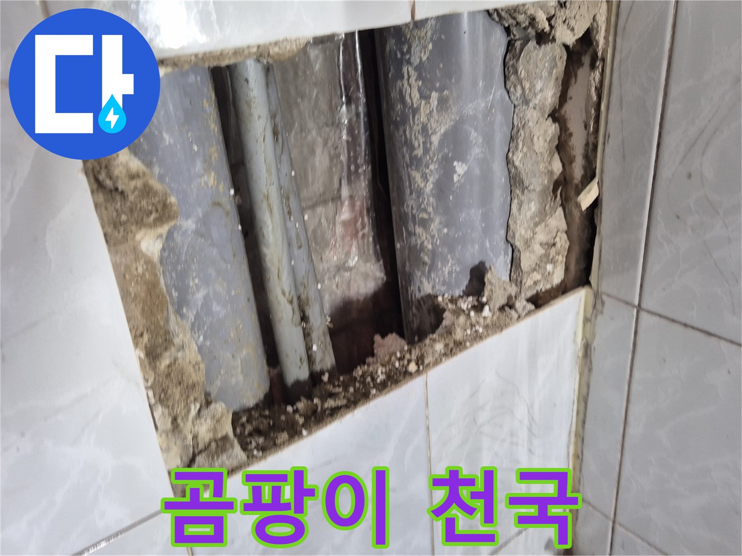 창동 긴급 누수 - 타일 깨보니 곰팡이 천국! 재앙 수준입니다!