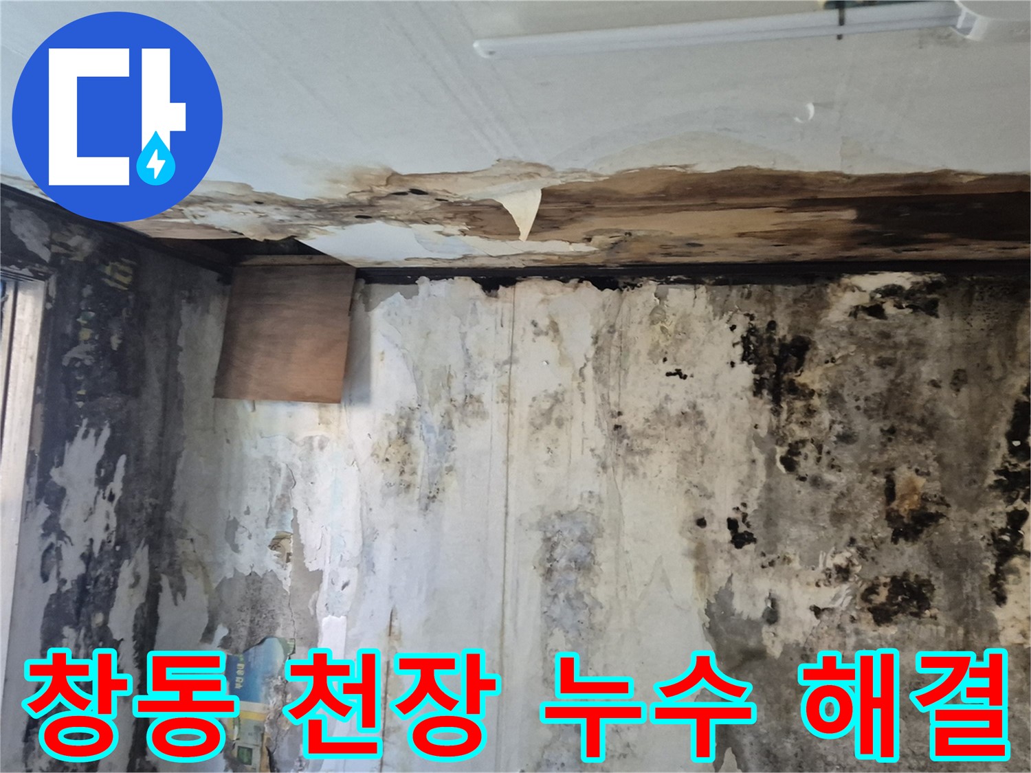 창동 주택의 곰팡이 가득한 천장 누수 해결 과정 - 누수 원인 진단부터 완벽한 시공까지 담았습니다.