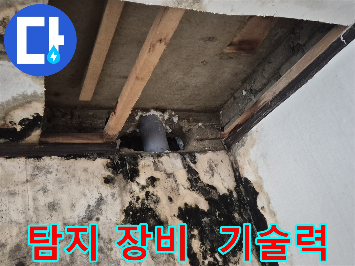 최첨단 누수 탐지 장비 - 정확한 누수 지점 탐색