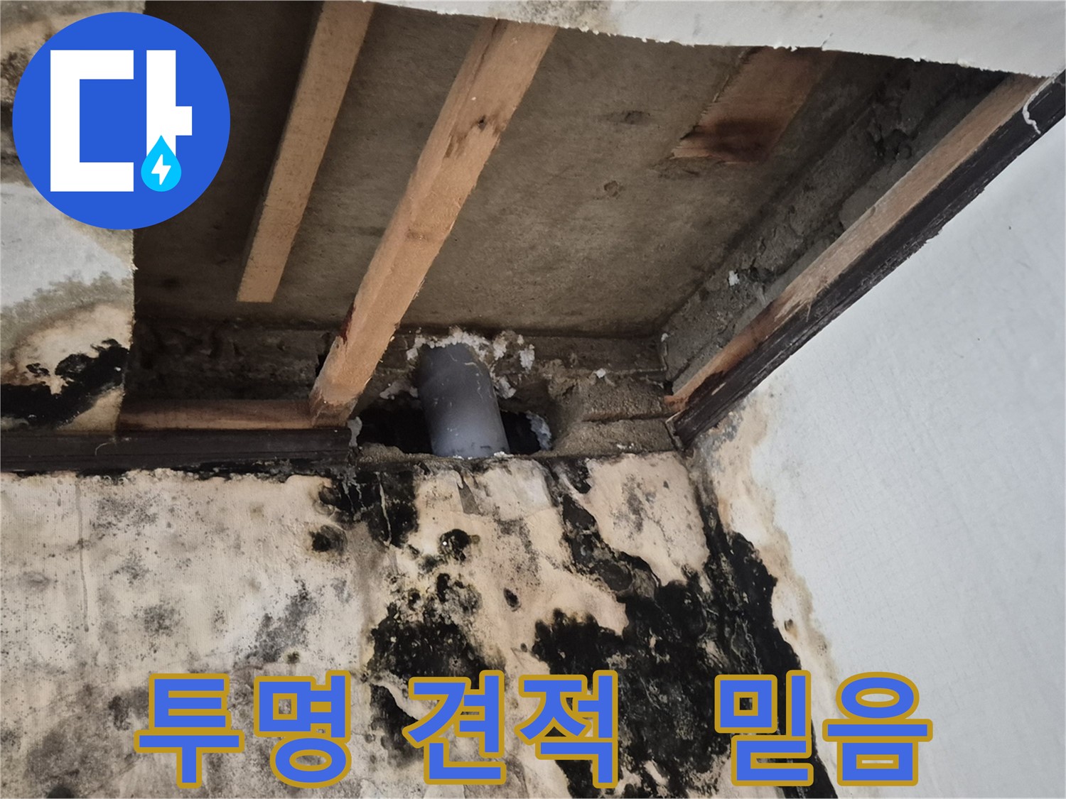 투명한 누수 견적 - 고객 신뢰를 최우선으로