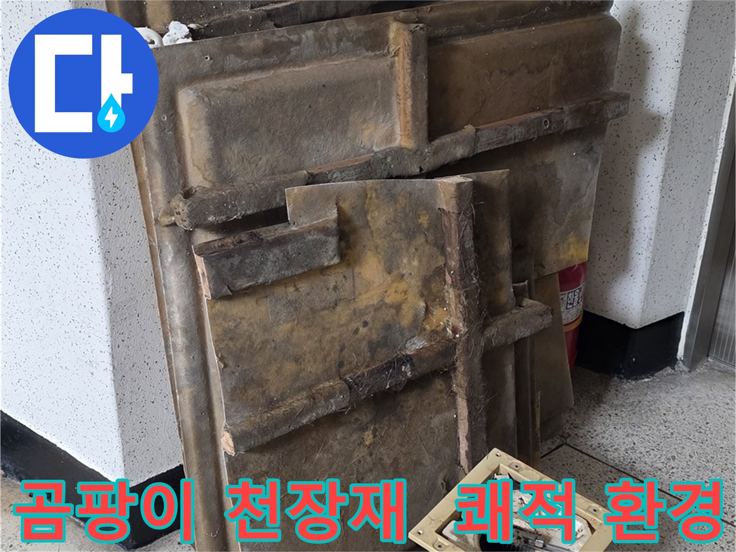 곰팡이 핀 천장재와 조명 - 쾌적한 환경으로 변신