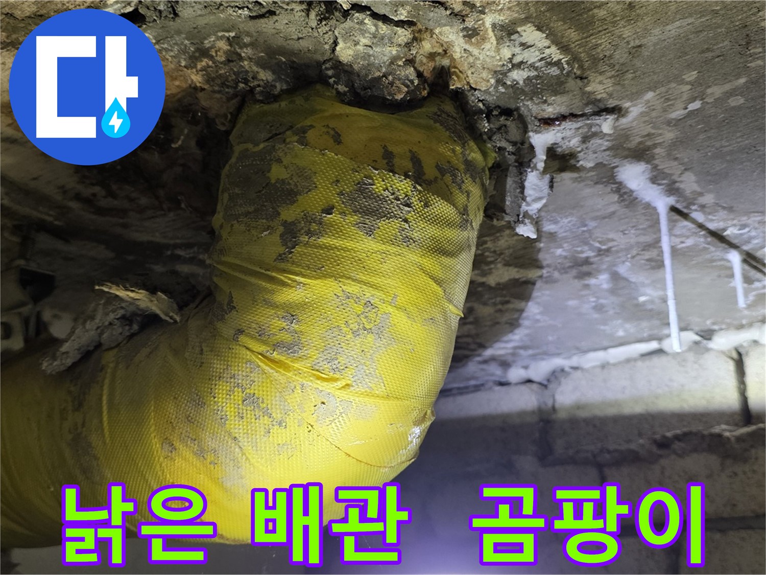 낡은 배관의 절규 - 건강을 위협하는 곰팡이 - 신사동 아파트