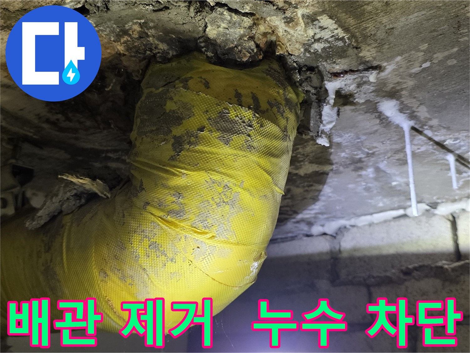 누수 완벽 차단 - 은평구 신사동 누수, 낡은 노란 배관 OUT, 곰팡이 완전 소탕