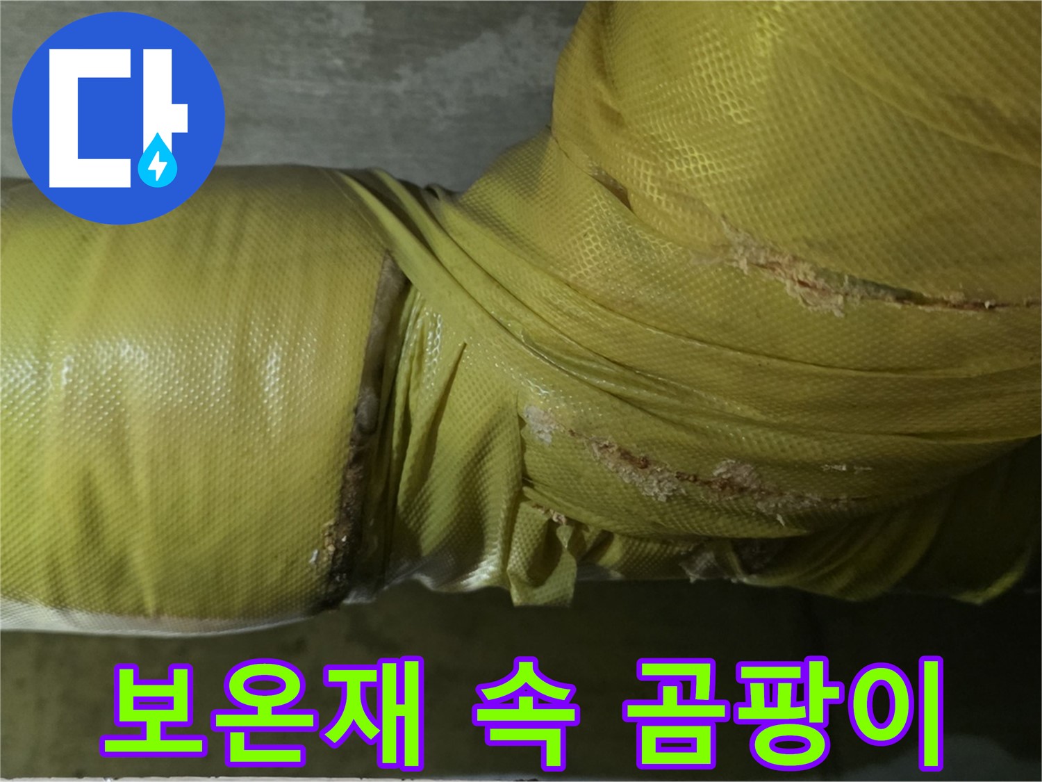 배관 보온재 속 누수 - 곰팡이 서식 환경 제공, 건강을 위협합니다.