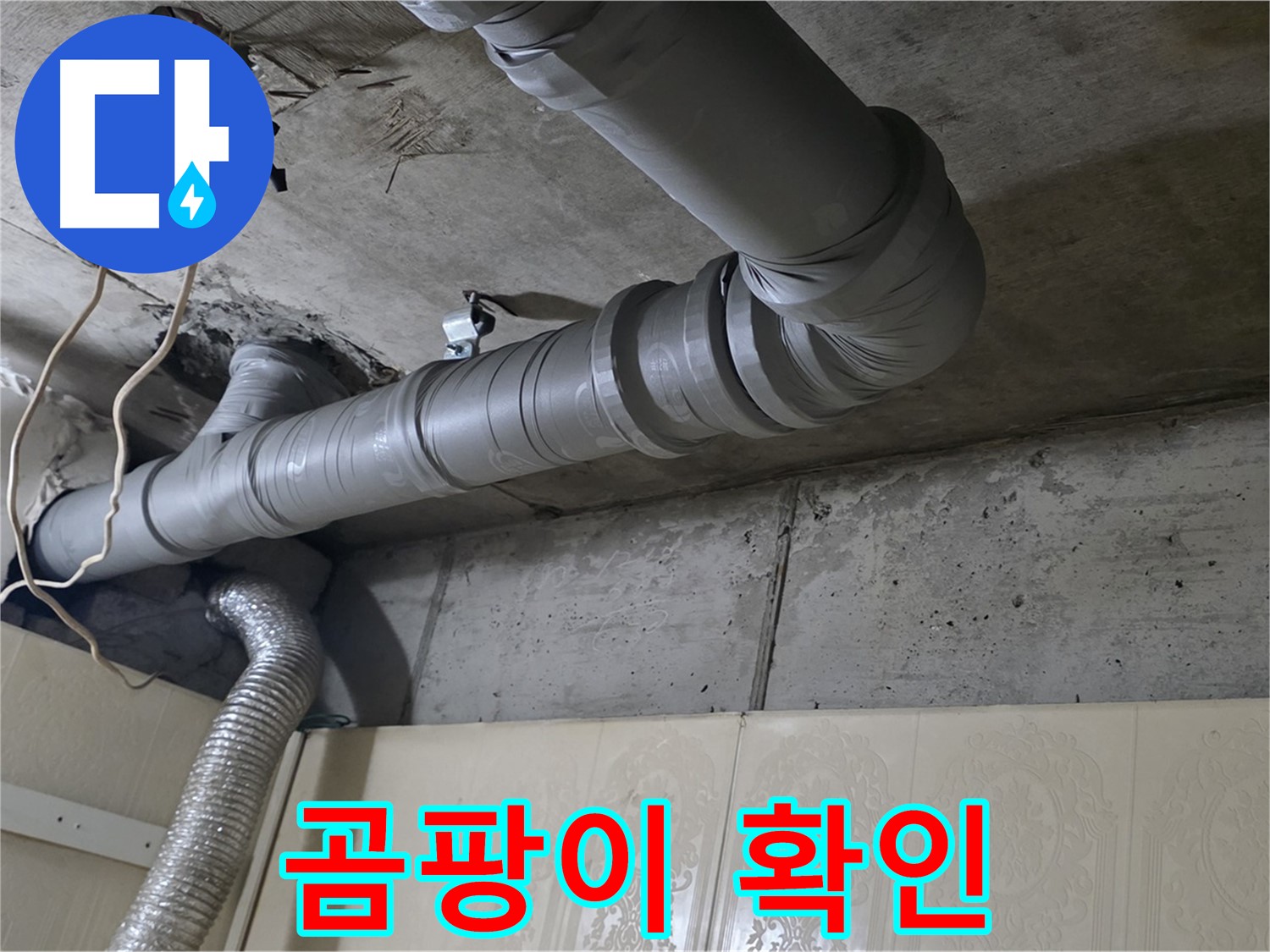 배관 주변 곰팡이 발생 여부 확인 - 배관 주변에 곰팡이가 있는지 확인합니다.
