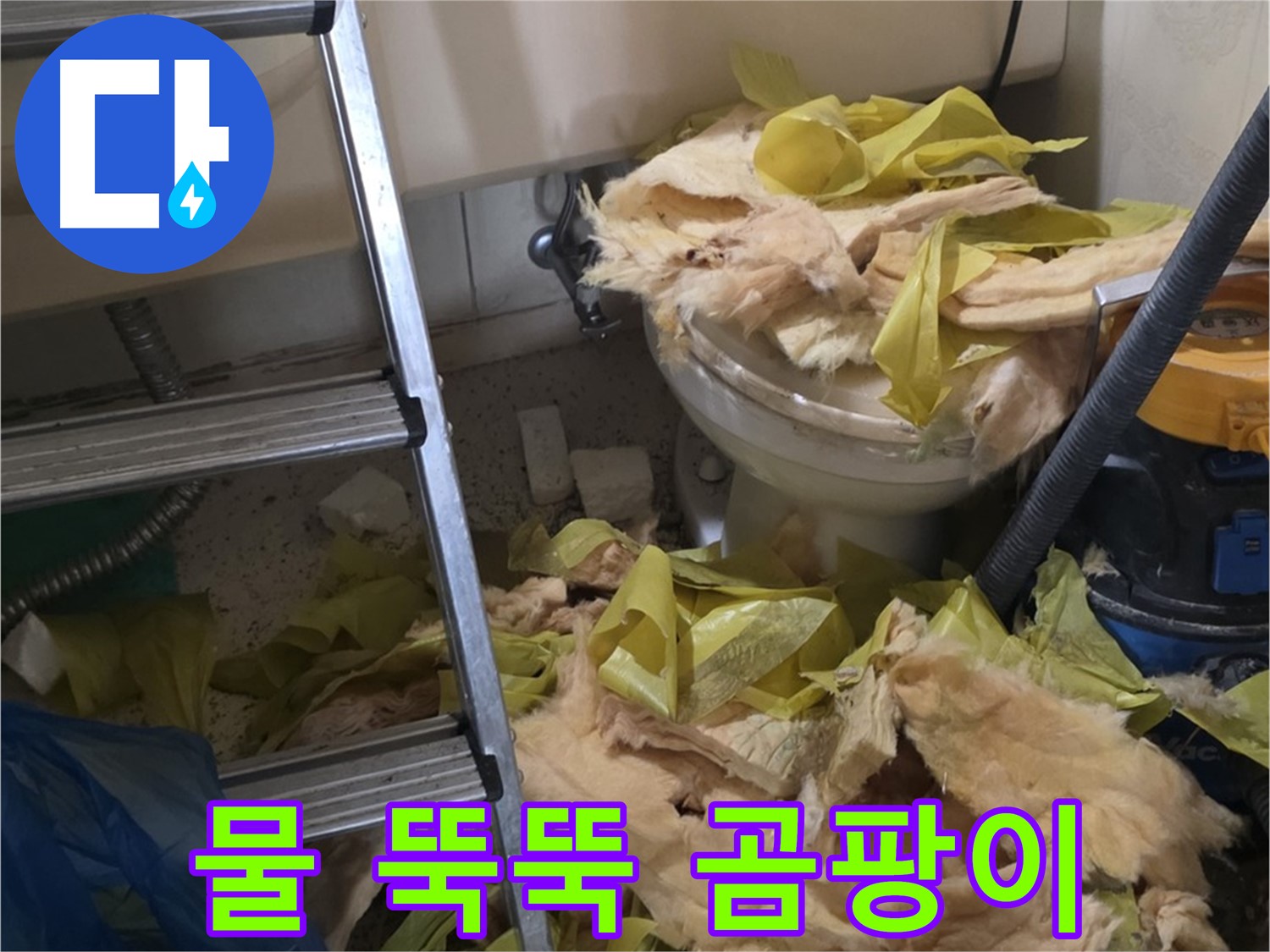 새절 누수 현장 - 물이 뚝뚝 떨어지는 배관과 곰팡이 냄새 - 곰팡이 번식 위험
