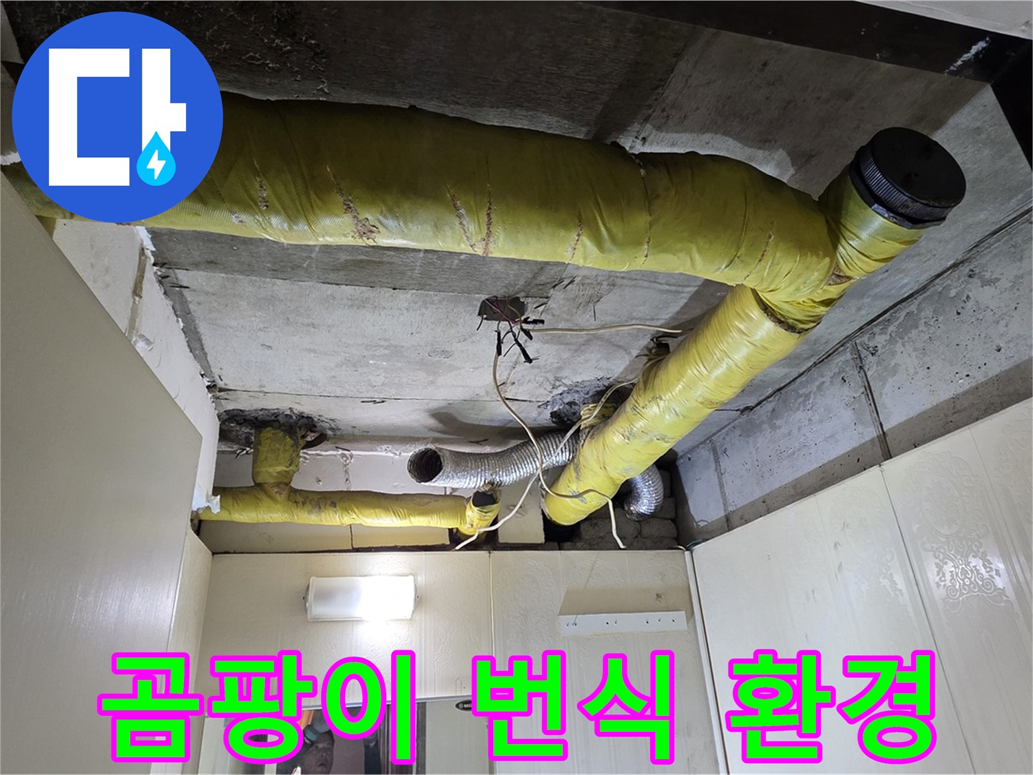 새절역 현대아파트 - 습기를 머금은 보온재, 곰팡이 번식