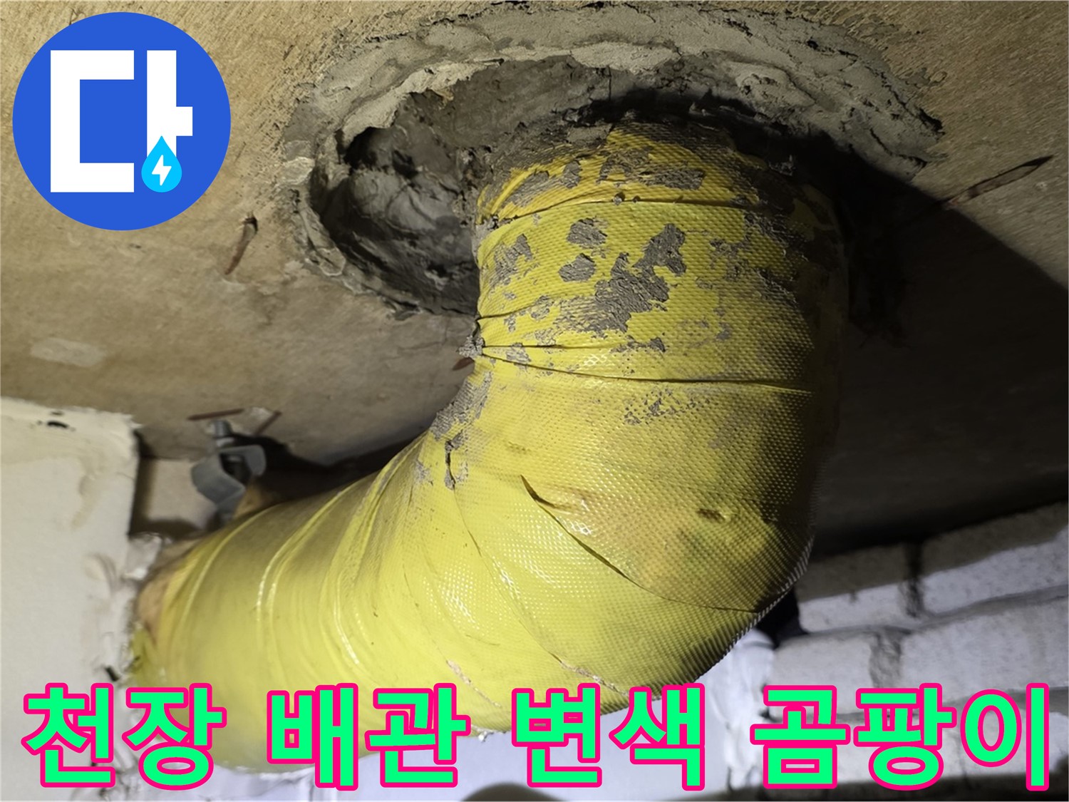 새절역 현대아파트 - 천장 배관 변색 - 곰팡이, 내부 오염 심각