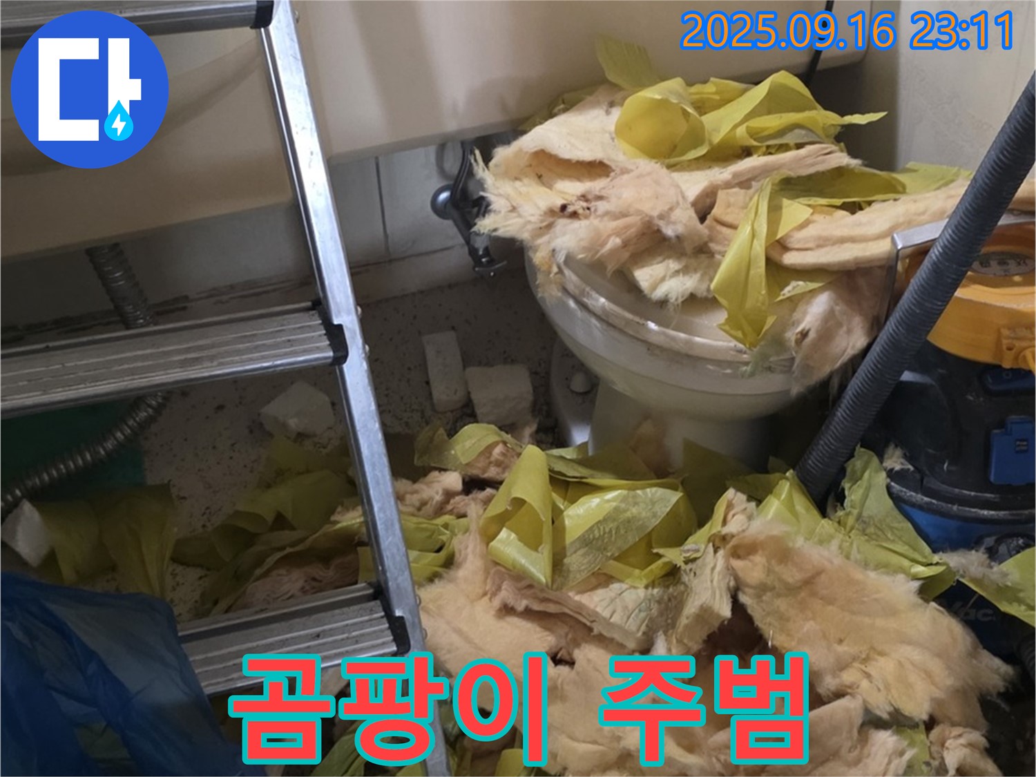 신사동 새절역 현대아파트 누수 - 곰팡이 핀 보온재가 문제였습니다 - 빠른 해결을 위해 노력하겠습니다.