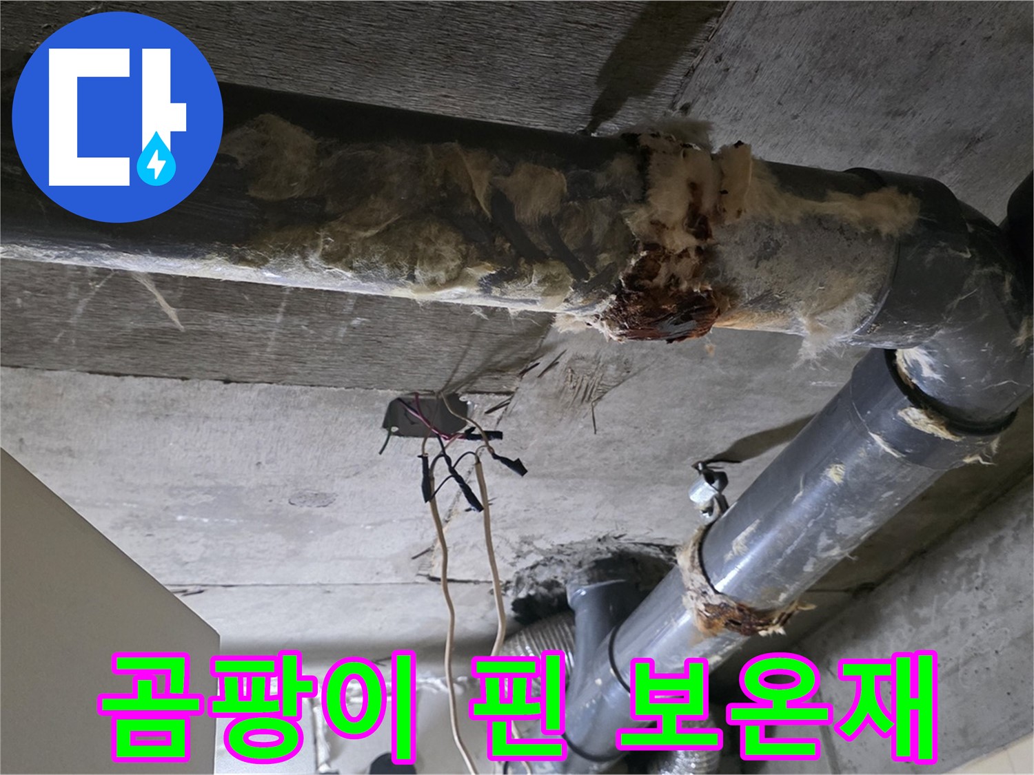 신사동 새절역현대아파트 누수 - 곰팡이 핀 낡은 오수 배관 보온재 - 곰팡이 제거가 시급합니다
