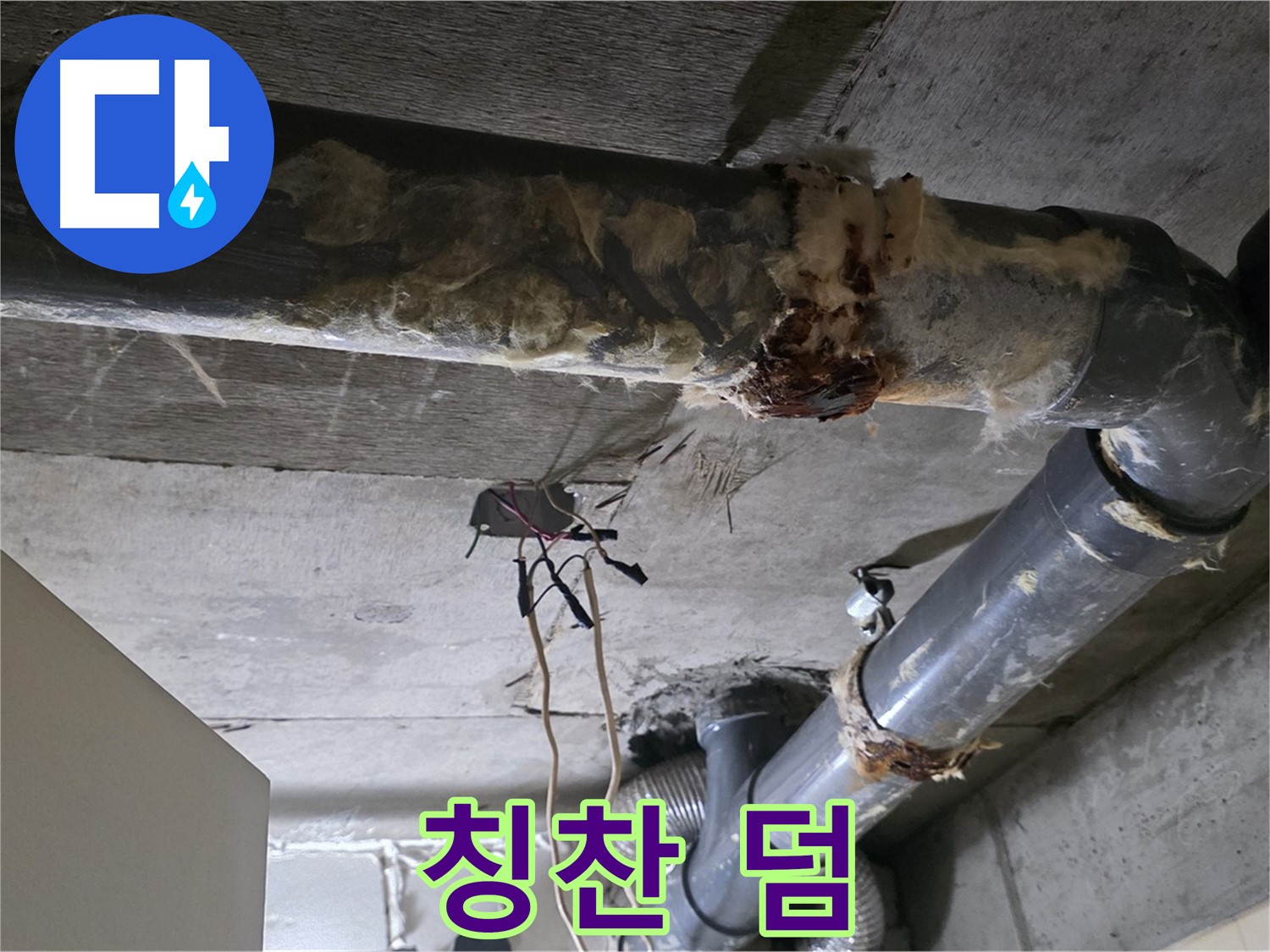 신사동 새절역현대아파트 누수 - 곰팡이와 함께 오수 배관 파손 긴급 수리 - 칭찬 받음