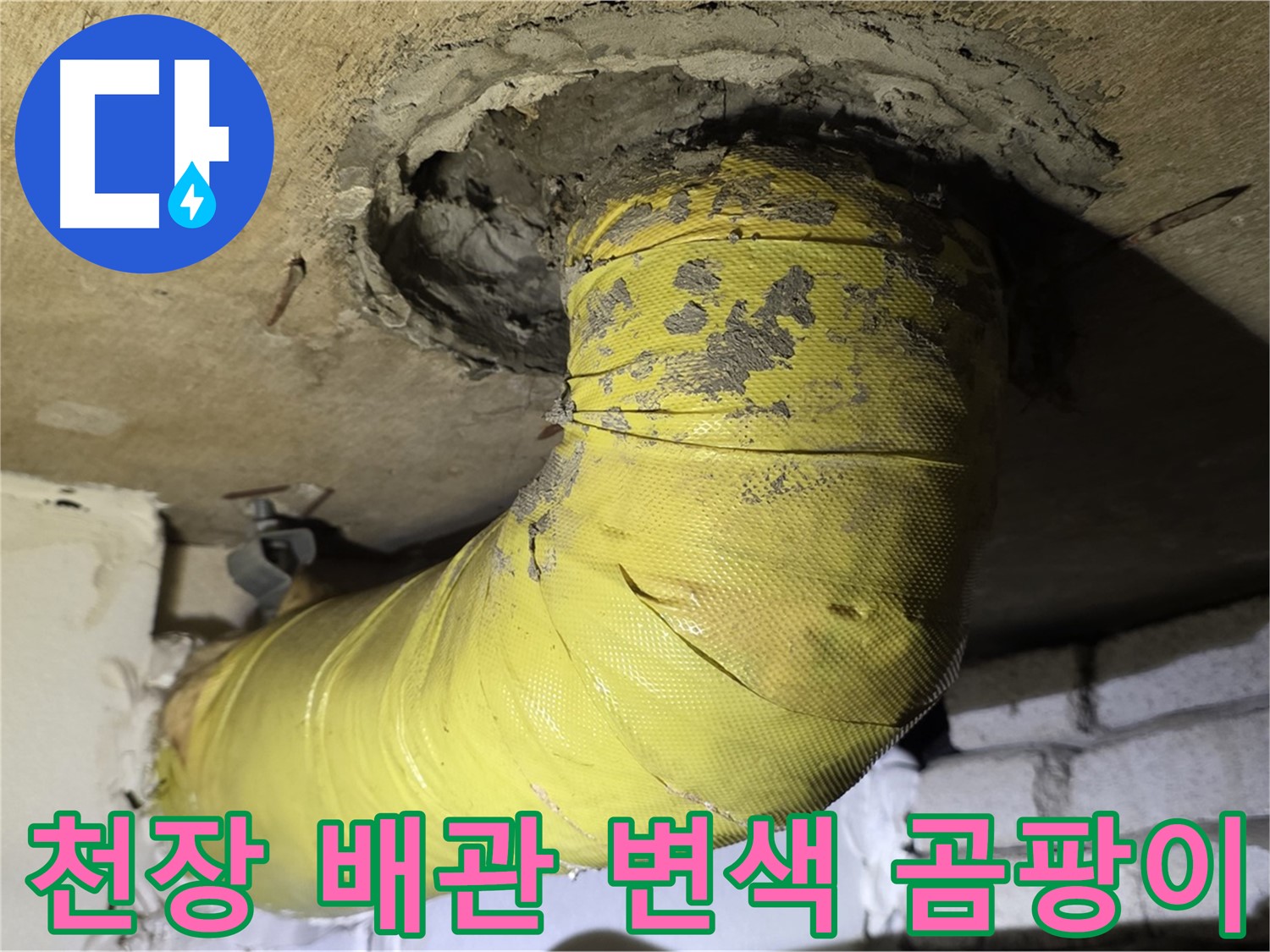 신사동 - 천장 배관 심한 변색 - 곰팡이 발생, 누수 의심