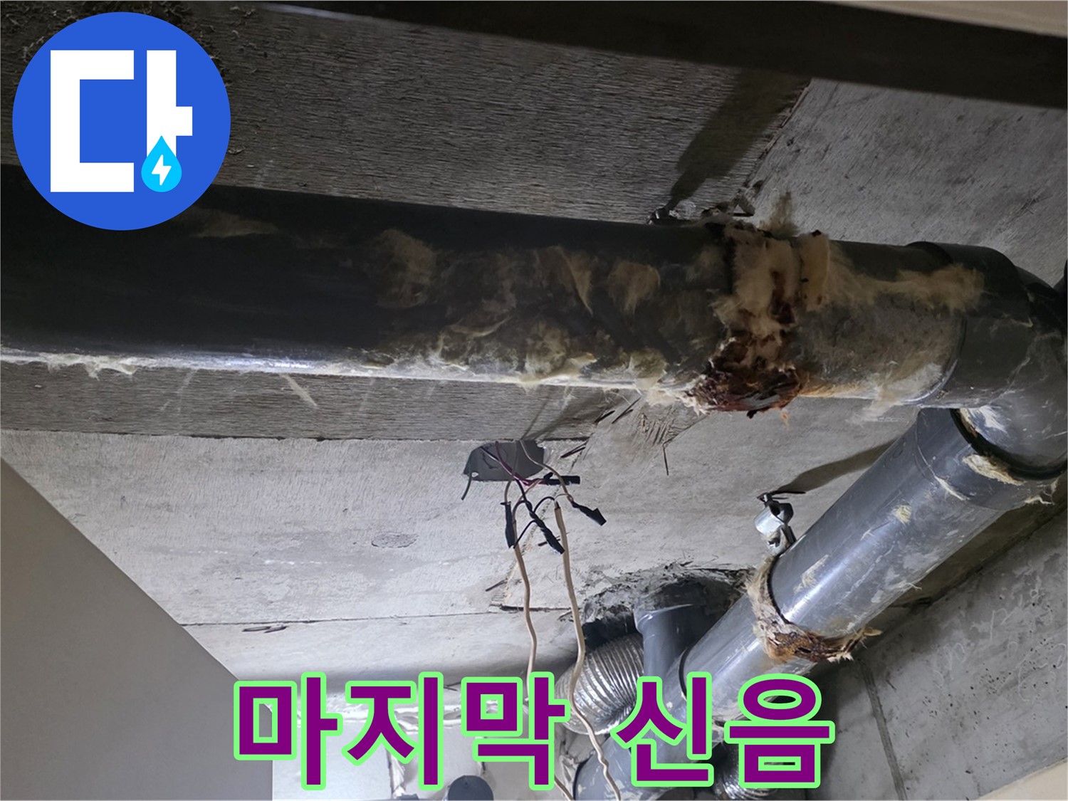신사동/새절역 - 낡은 보온재 속에 숨겨진 배관의 마지막 신음, 이제 멈춰드릴게요