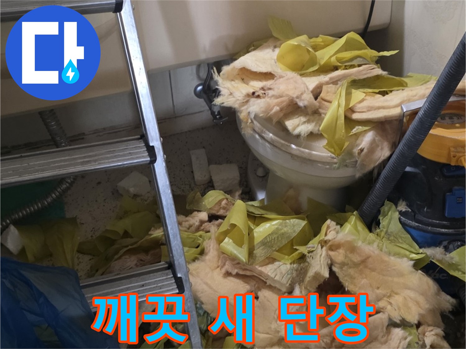 은평구 누수 현장 - 곰팡이 핀 낡은 보온재 청소 후 새 단장