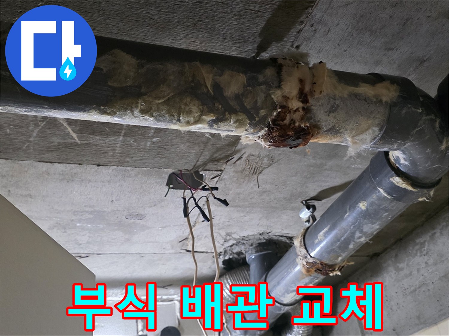 은평구 신사동 누수 - 부식된 오수 배관 교체 - 안전을 위해 교체가 시급합니다