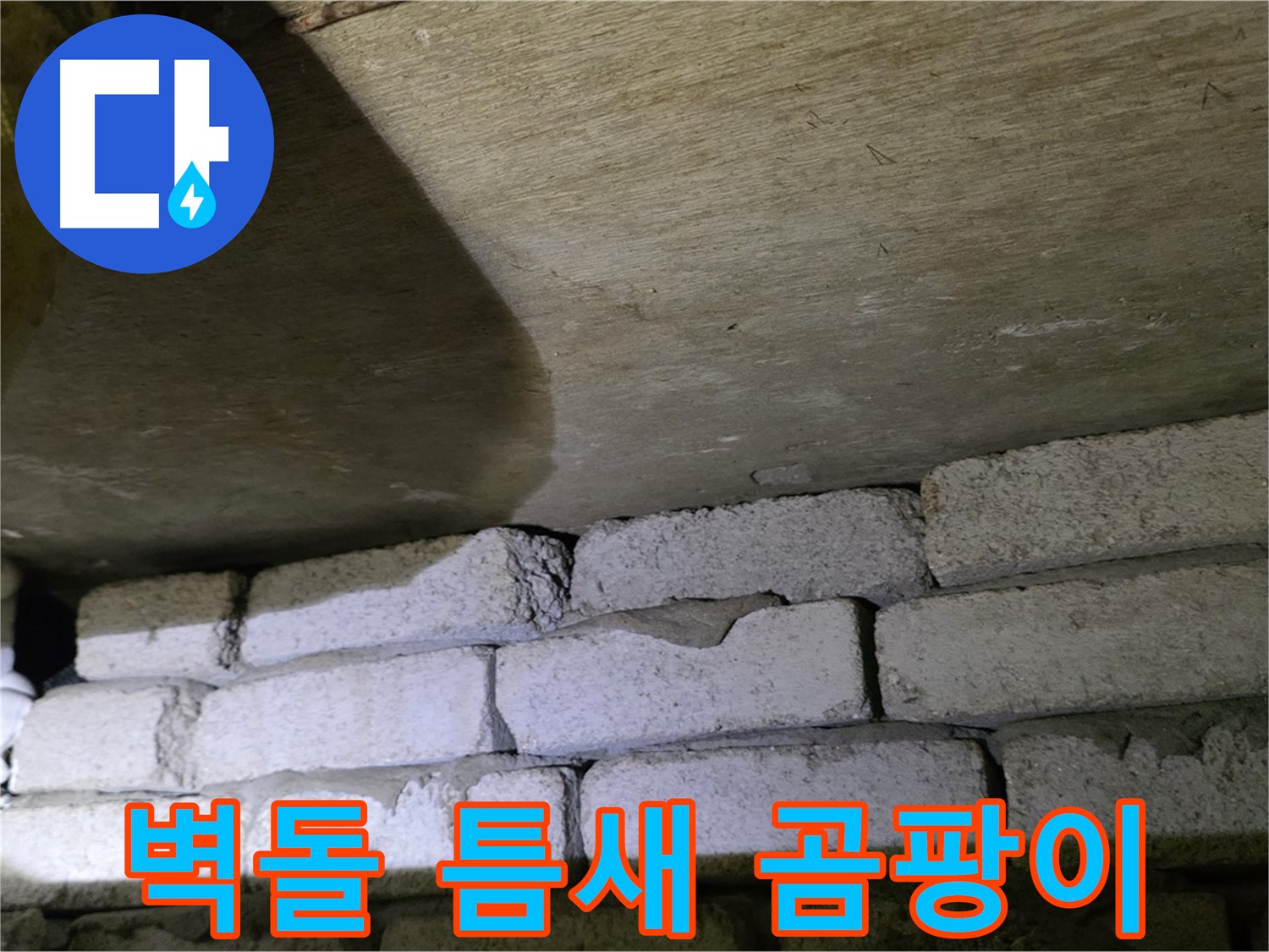 은평구 신사동 누수 - 새절역현대아파트 벽돌 틈새 주변 습기 및 곰팡이 발생