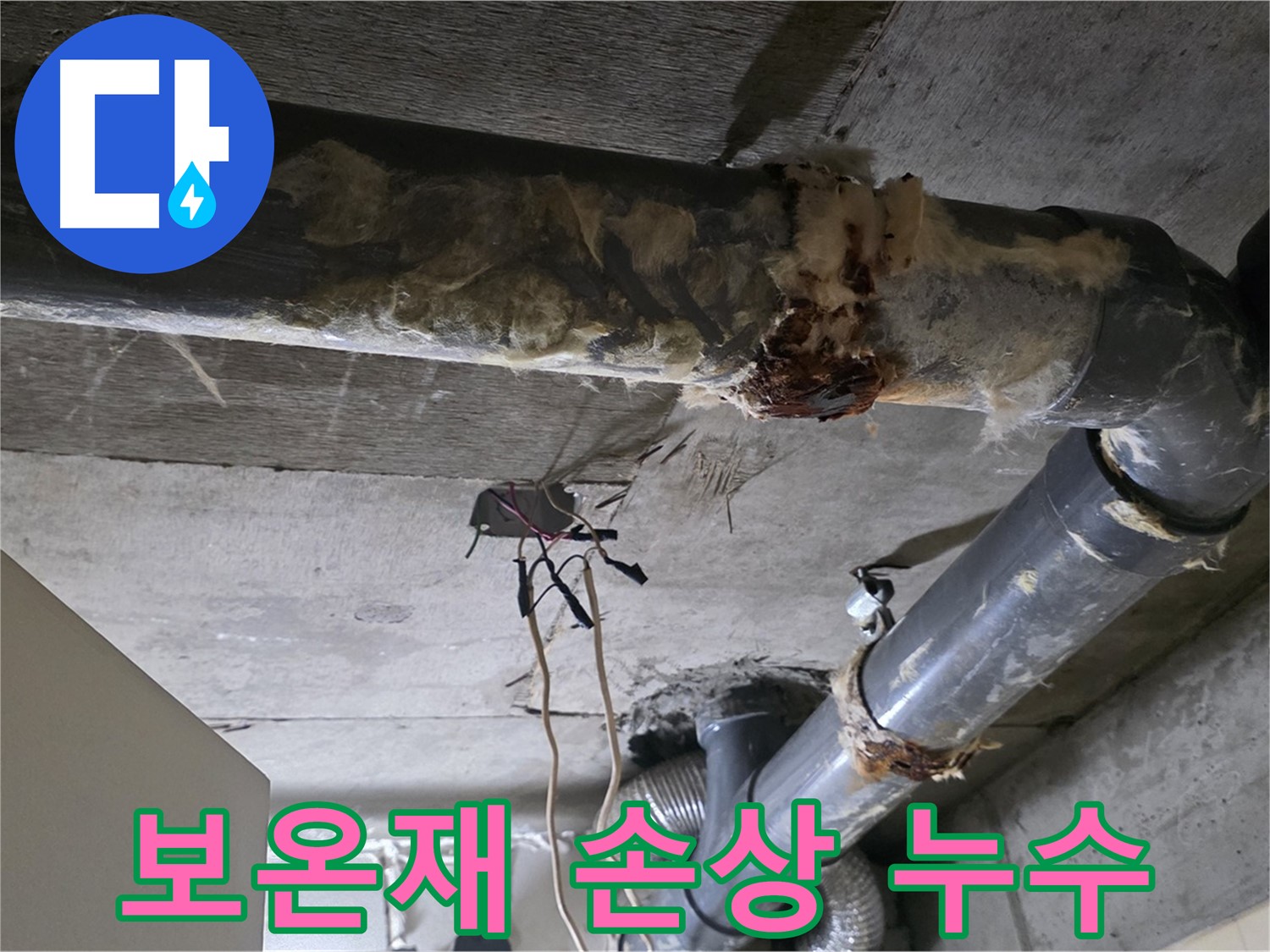 은평구 신사동 누수 - 오수 배관 보온재 손상으로 누수 발생