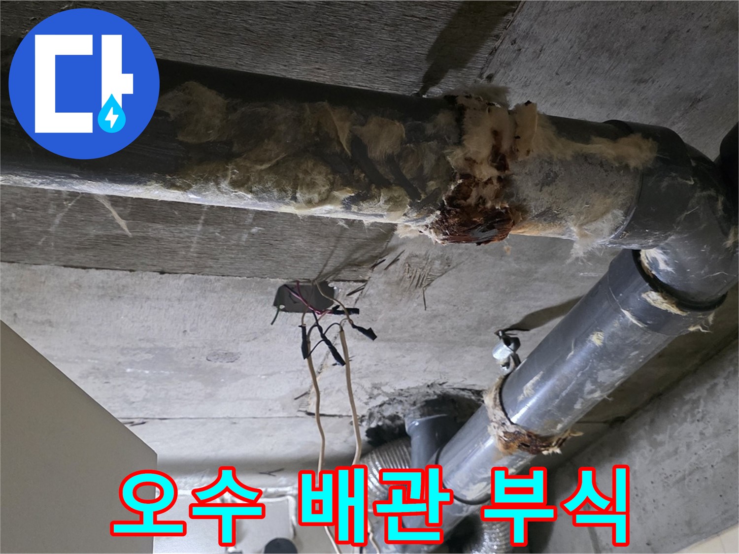 은평구 신사동 누수 - 오수 배관 부식 문제 긴급 해결 작업 진행 중