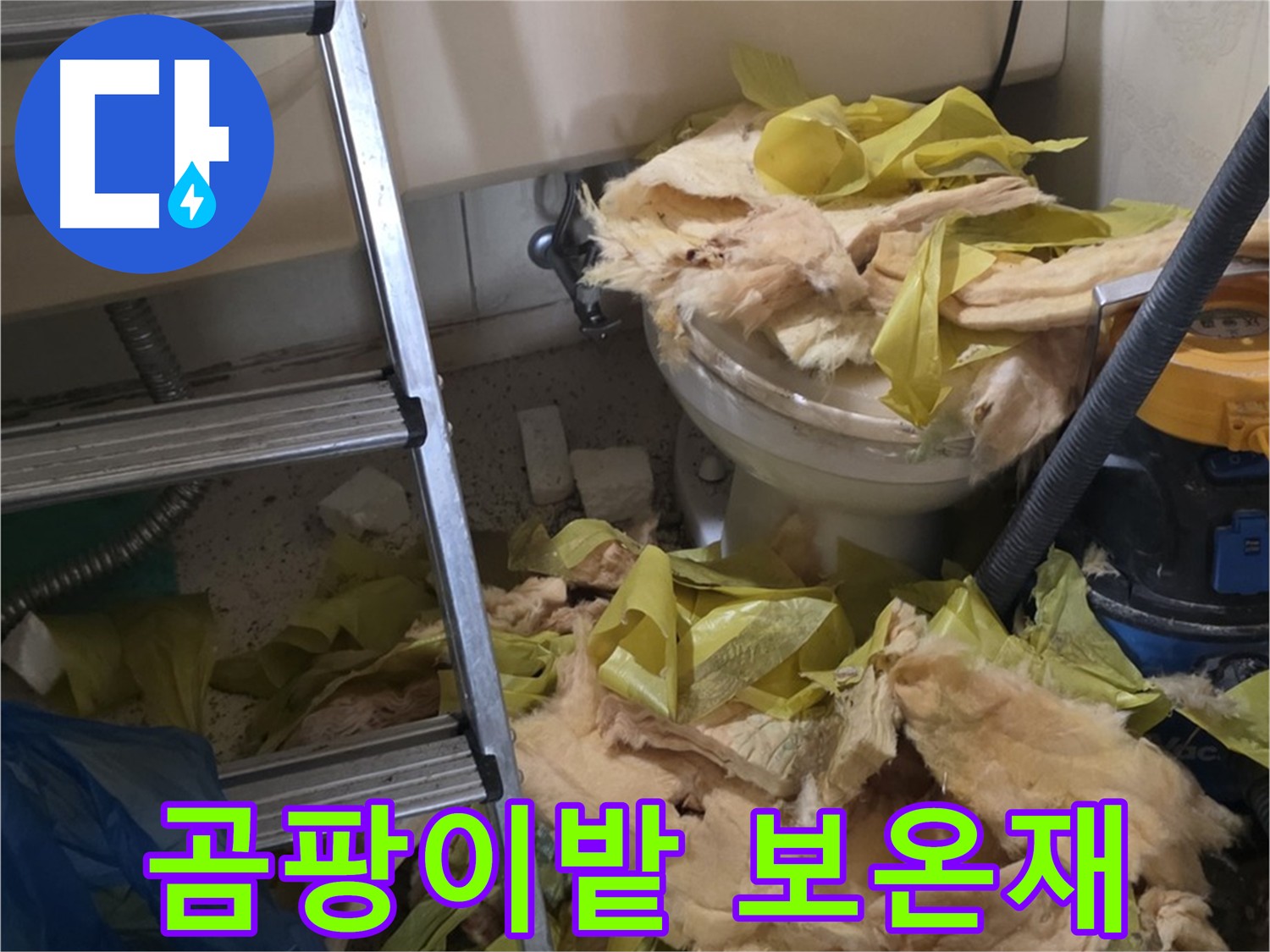 은평구 신사동 누수 현장 - 곰팡이 핀 보온재