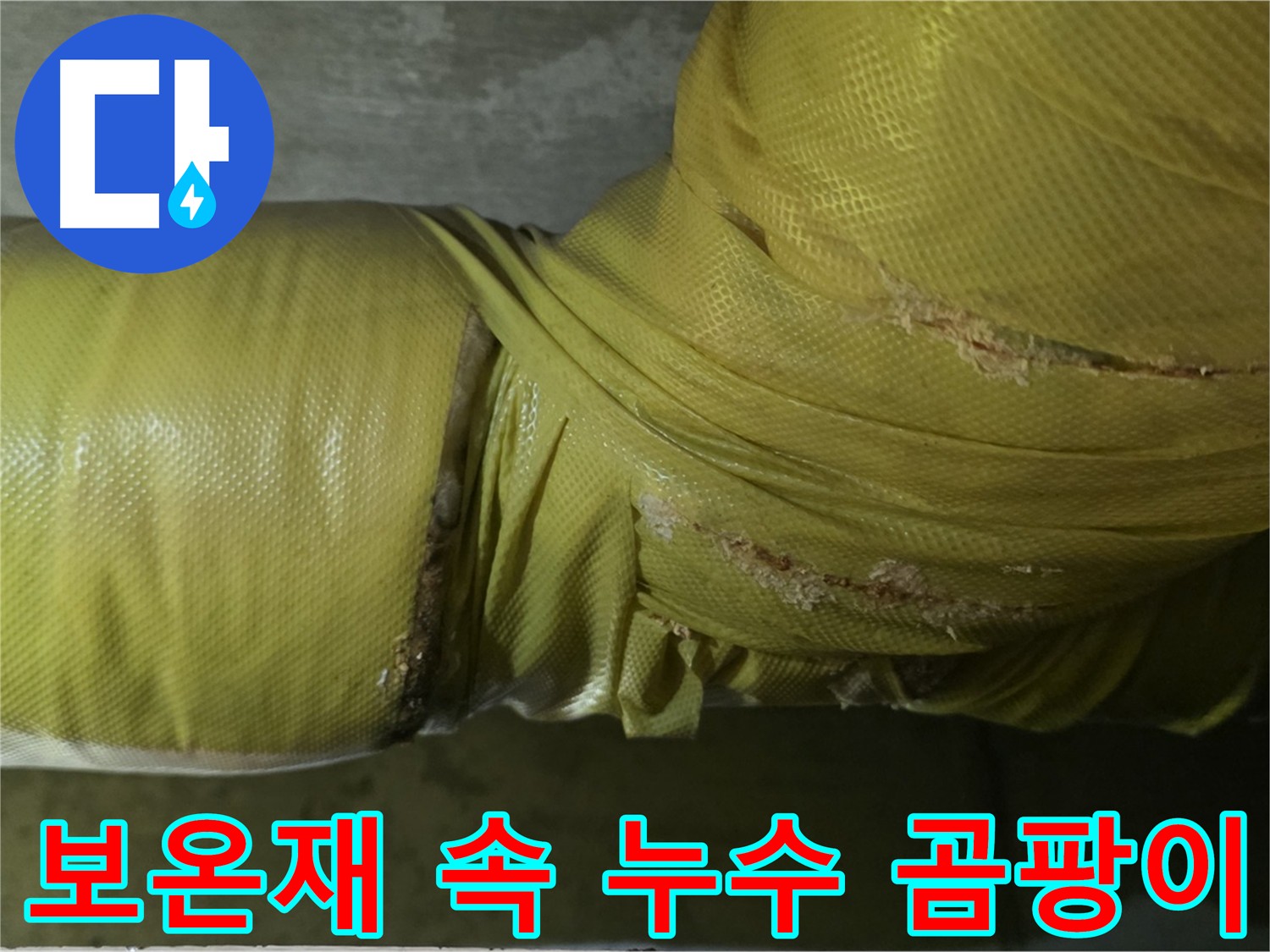 배관 보온재 속 누수 - 벽지 곰팡이 발생의 숨겨진 원인, 쾌적한 환경을 위해 해결해야 합니다.