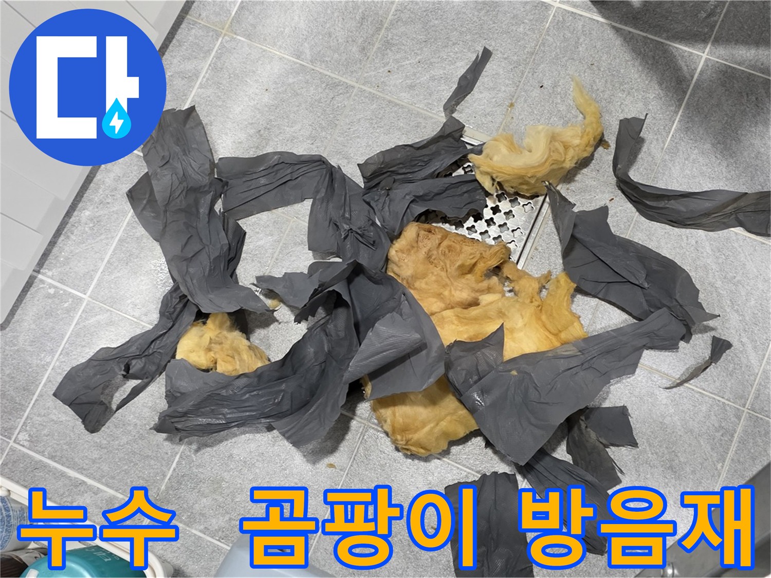 곰팡이 핀 하수 배관 방음재 - 건강 위협