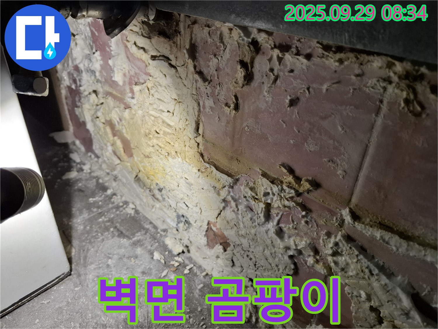 홍은빌라 벽면 곰팡이 습격 - 누수로 인해 벽면이 부식되고 곰팡이가 번식한 모습입니다.