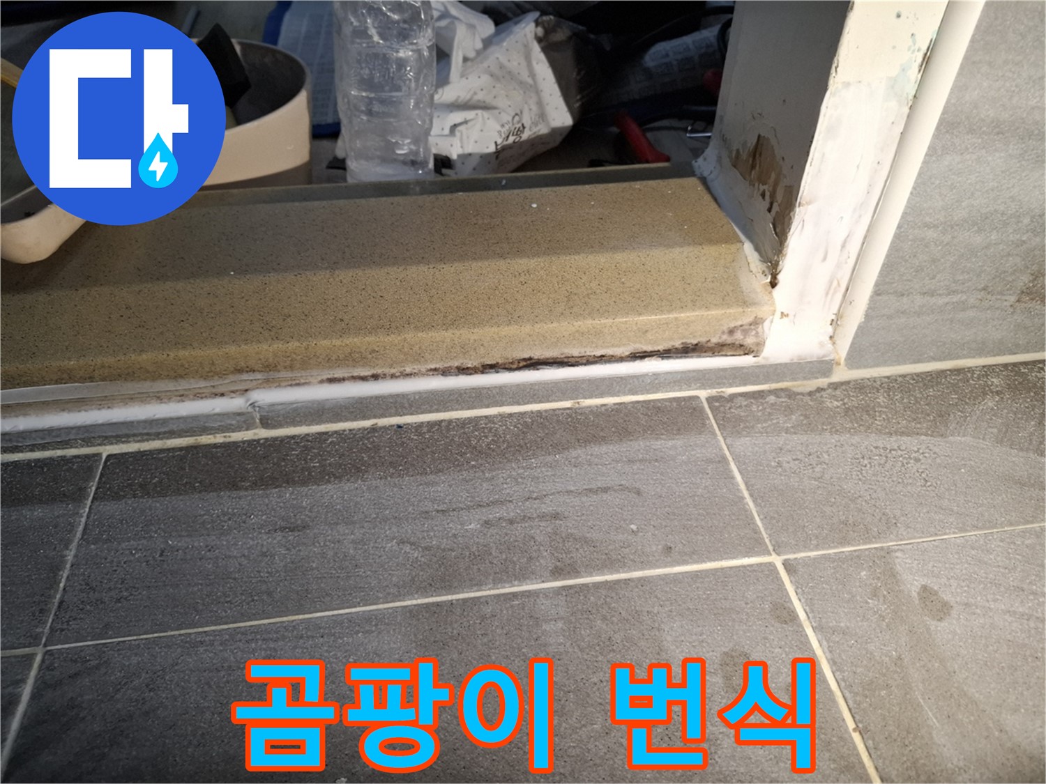 홍은빌라 욕실 문턱 누수 - 습기 때문에 곰팡이가 심하게 번식했어요