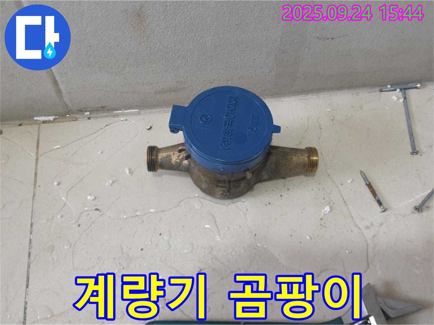 공릉1동에서 수도 계량기 주변 곰팡이 발생 원인 - 누수탐지 전문가가 정확한 원인을 파악하고 해결하는 과정을 보여주는 이미지입니다.