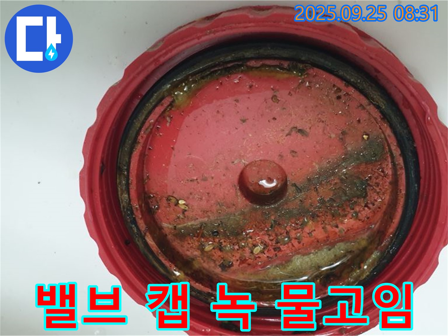 가납리 밸브 캡 녹과 물 고임 - 누수의 심각성을 진단합니다.