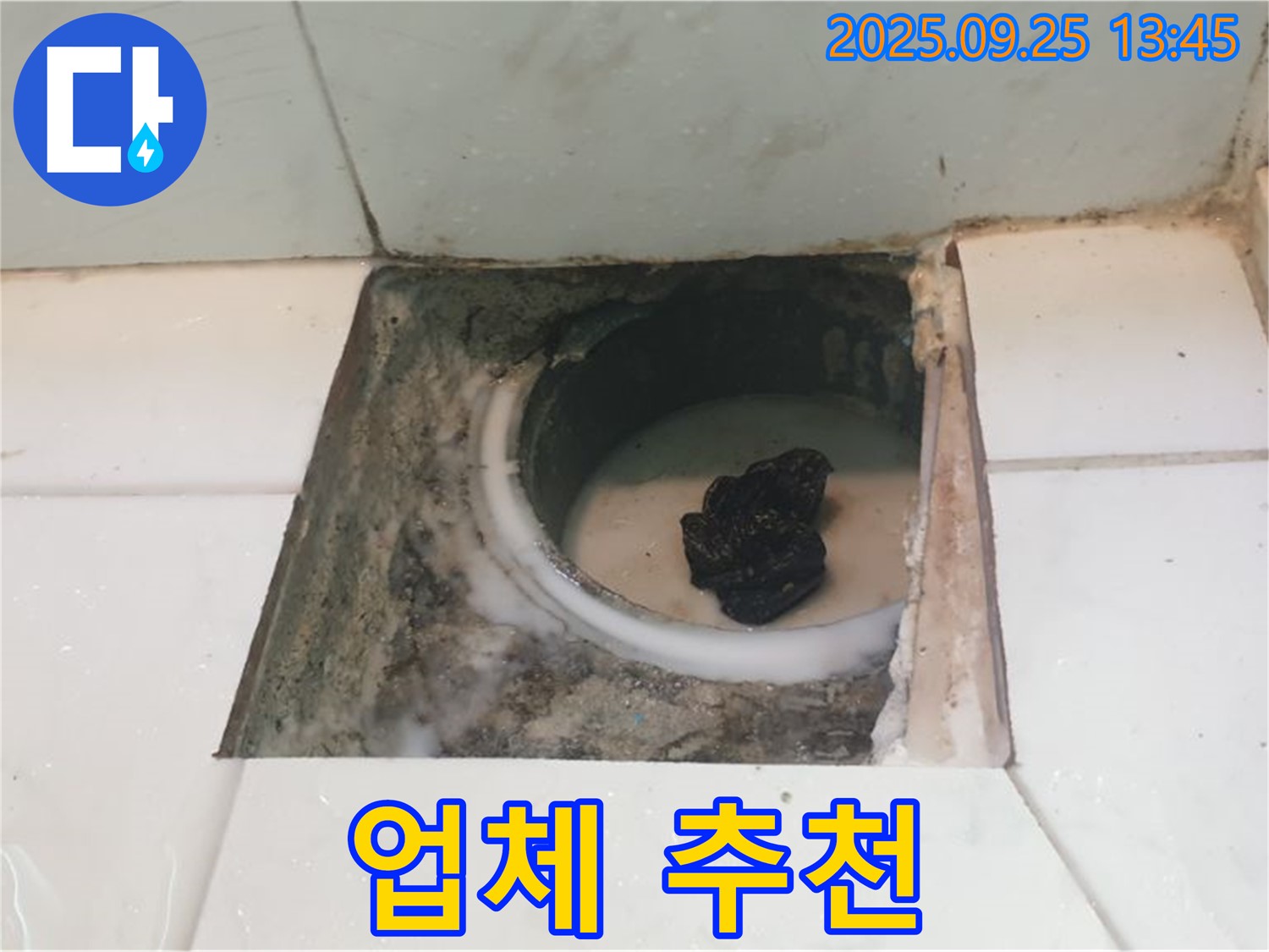 의정부 누수 - 욕실 배수구 주변 누수, 어떤 업체를 선택해야 할까요?