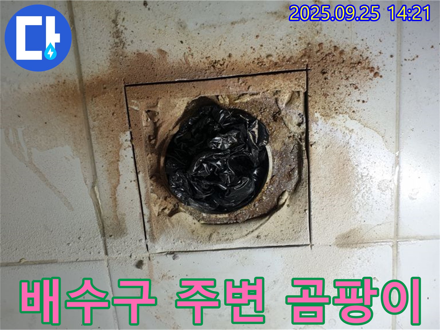 의정부1동 누수 - 배수구 주변 곰팡이, 완벽한 장비로 해결