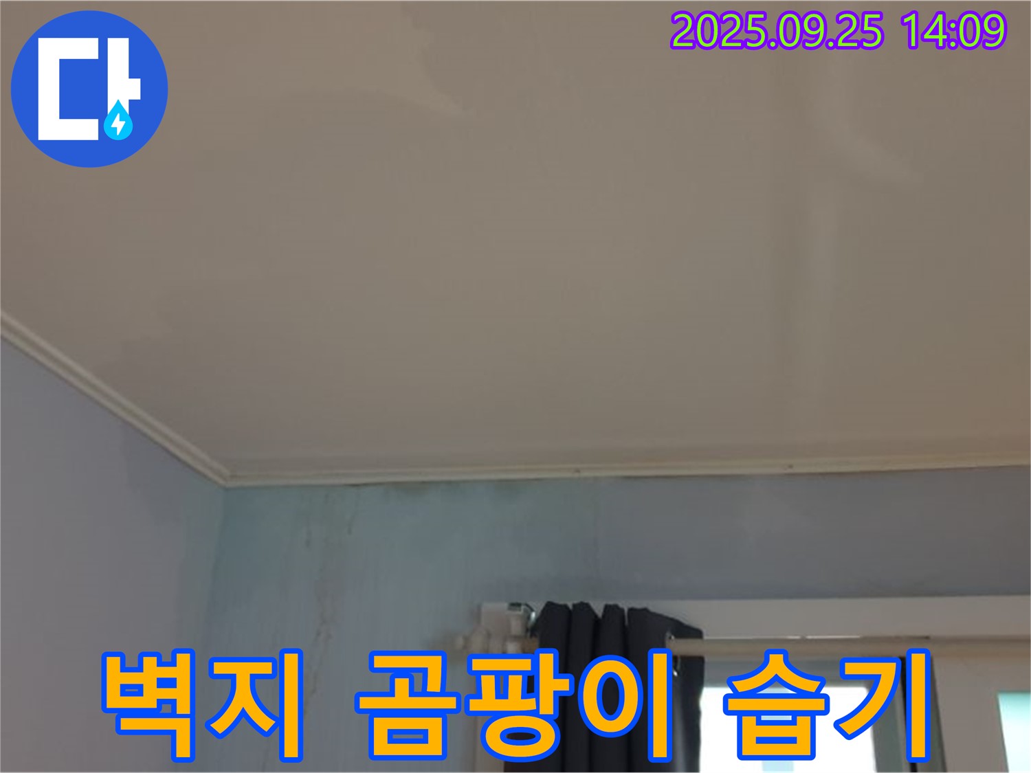 의정부 호원1동 310번지 누수 - 벽지에 곰팡이가 피어 있고 습기가 많은 상태