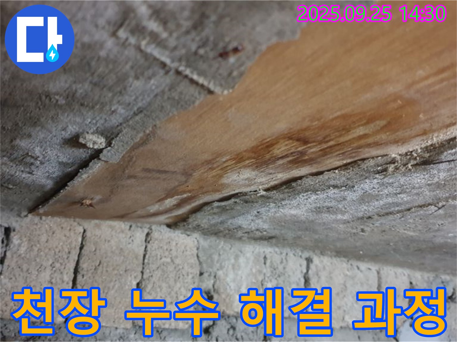의정부 호원동 누수 - 천장 누수 해결 과정, 합리적인 가격으로 최고의 서비스를 제공합니다.