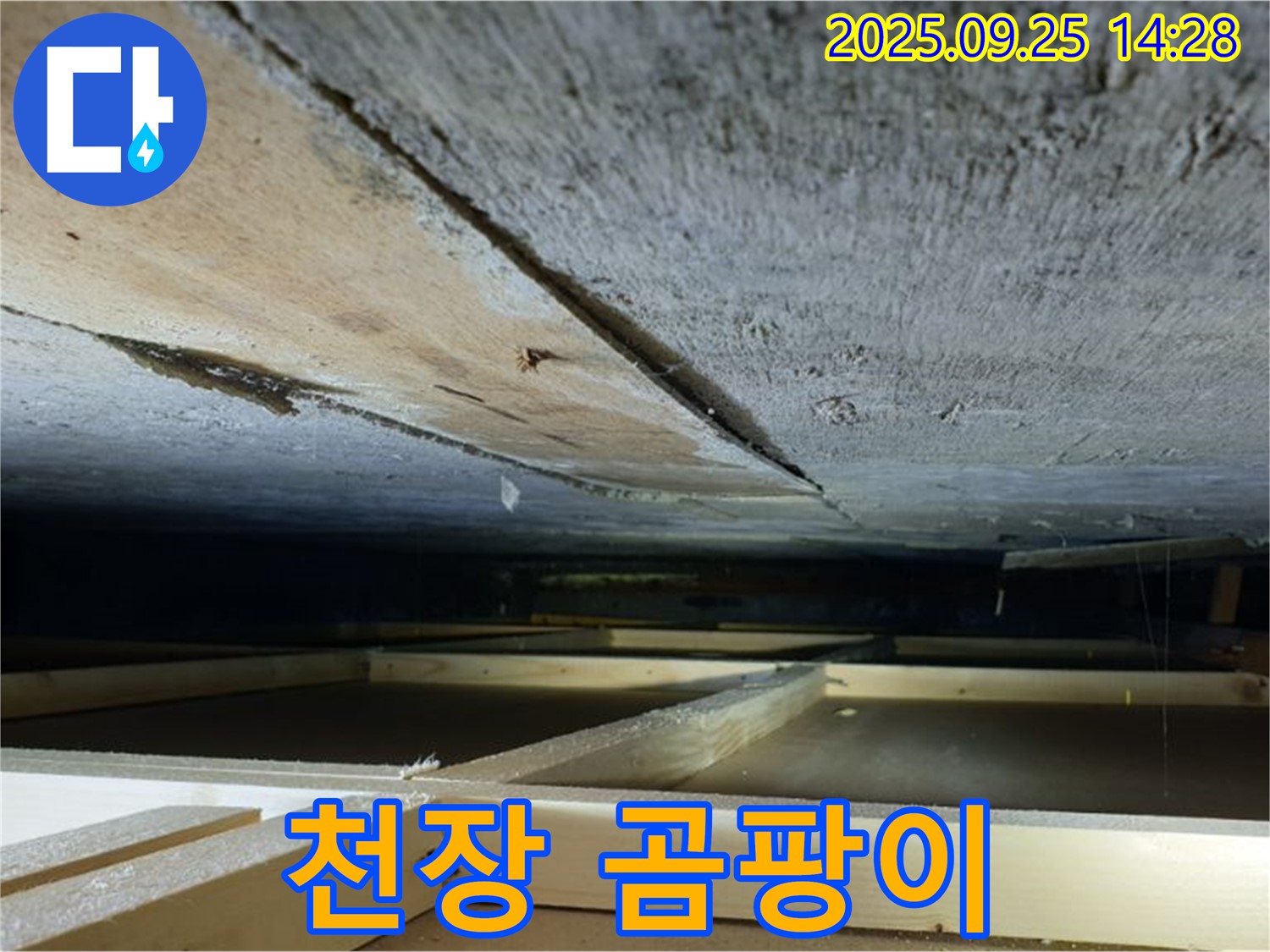 의정부 호원동 누수 - 천장 처짐과 곰팡이 발견, 건강까지 위협합니다.
