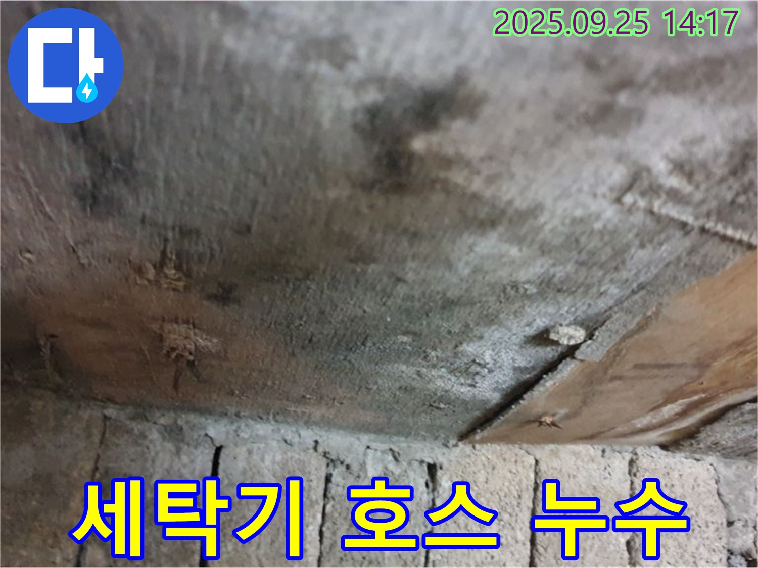 의정부 호원동 누수 현장 - 세탁기 호스에서 누수가 발생한 모습입니다.
