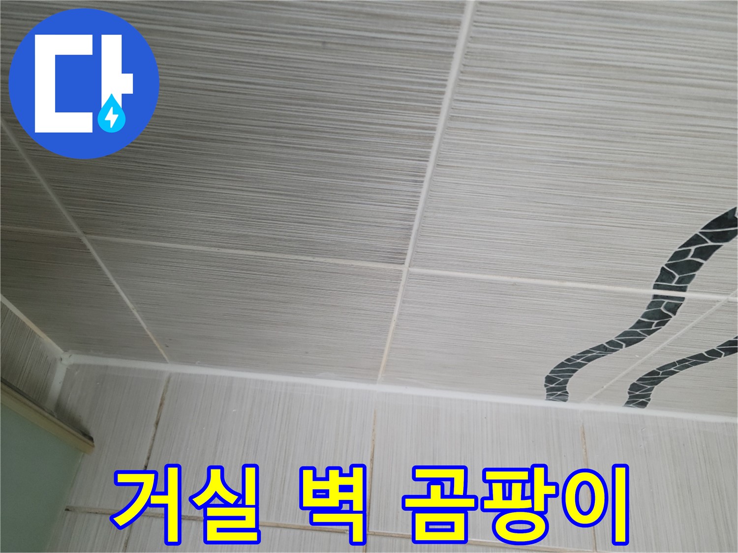 동두천 누수 - 거실 벽에 곰팡이가 슬어 누수 여부를 확인하고 있습니다.
