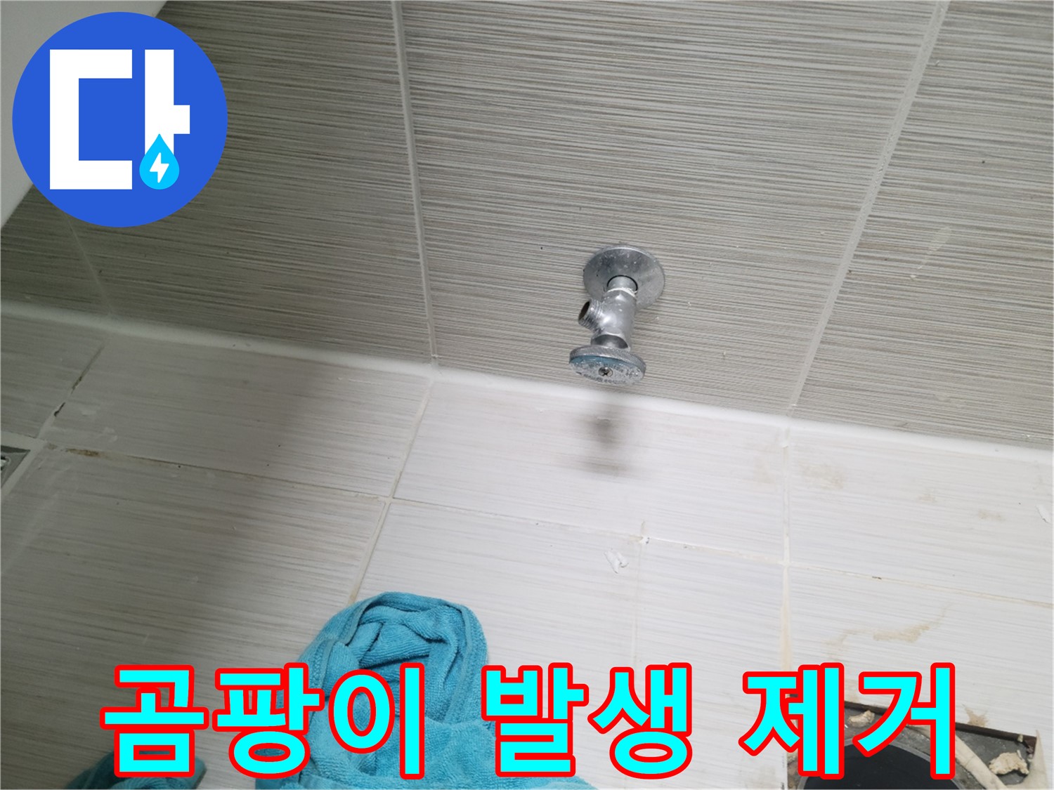 동두천 누수 - 샤워기 앵글밸브 누수, 누수 부위 주변 곰팡이 발생, 원인 제거